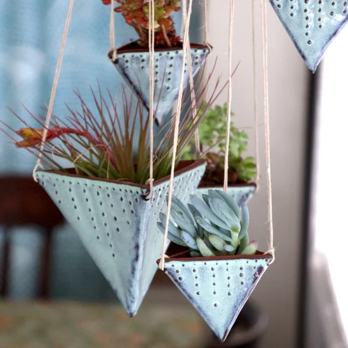 money tree planter Money Tree Plant | Plant Gifts