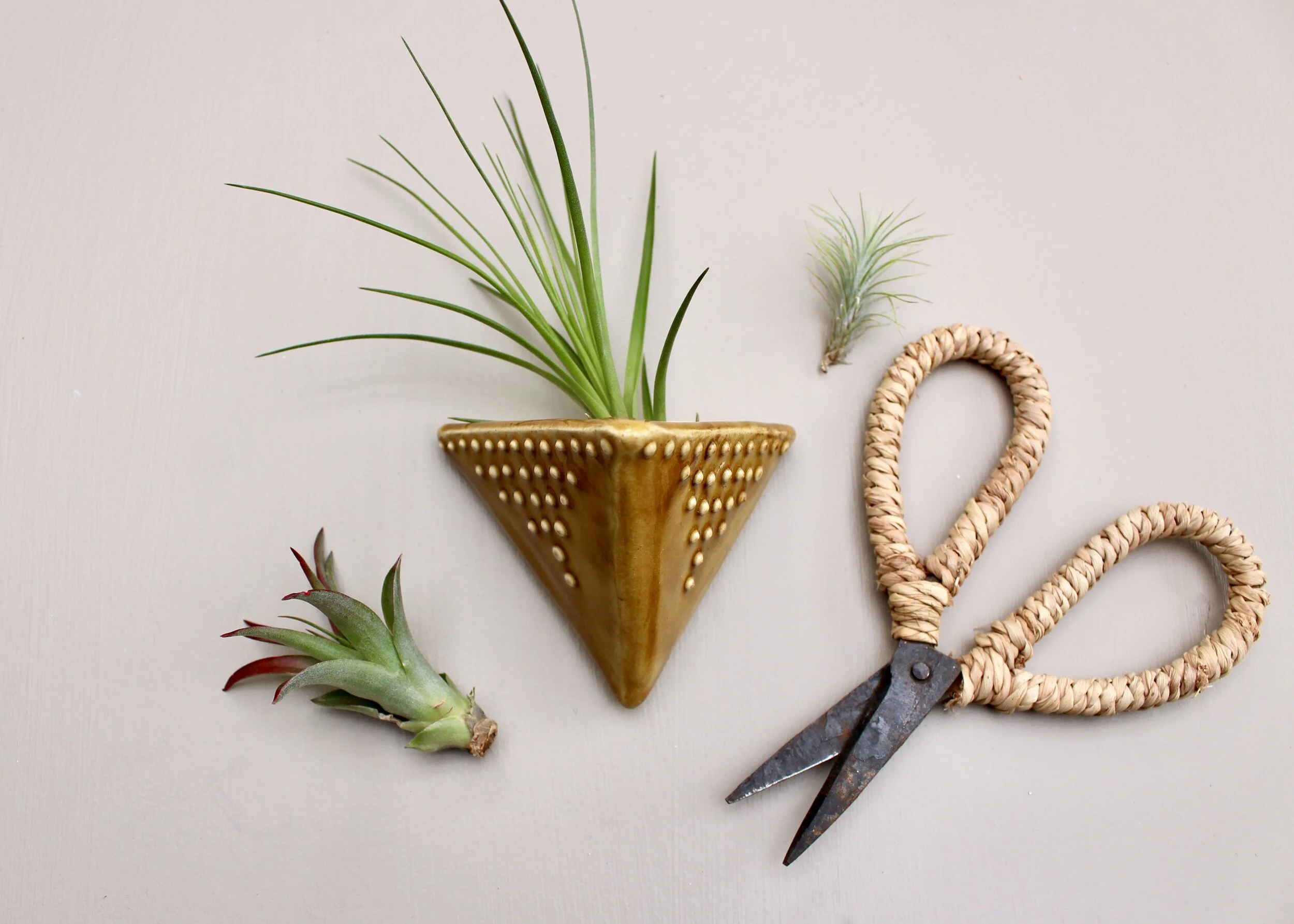 Triangle Wall Air Plant Holder - Small Wall Pocket - 16 Color Choices