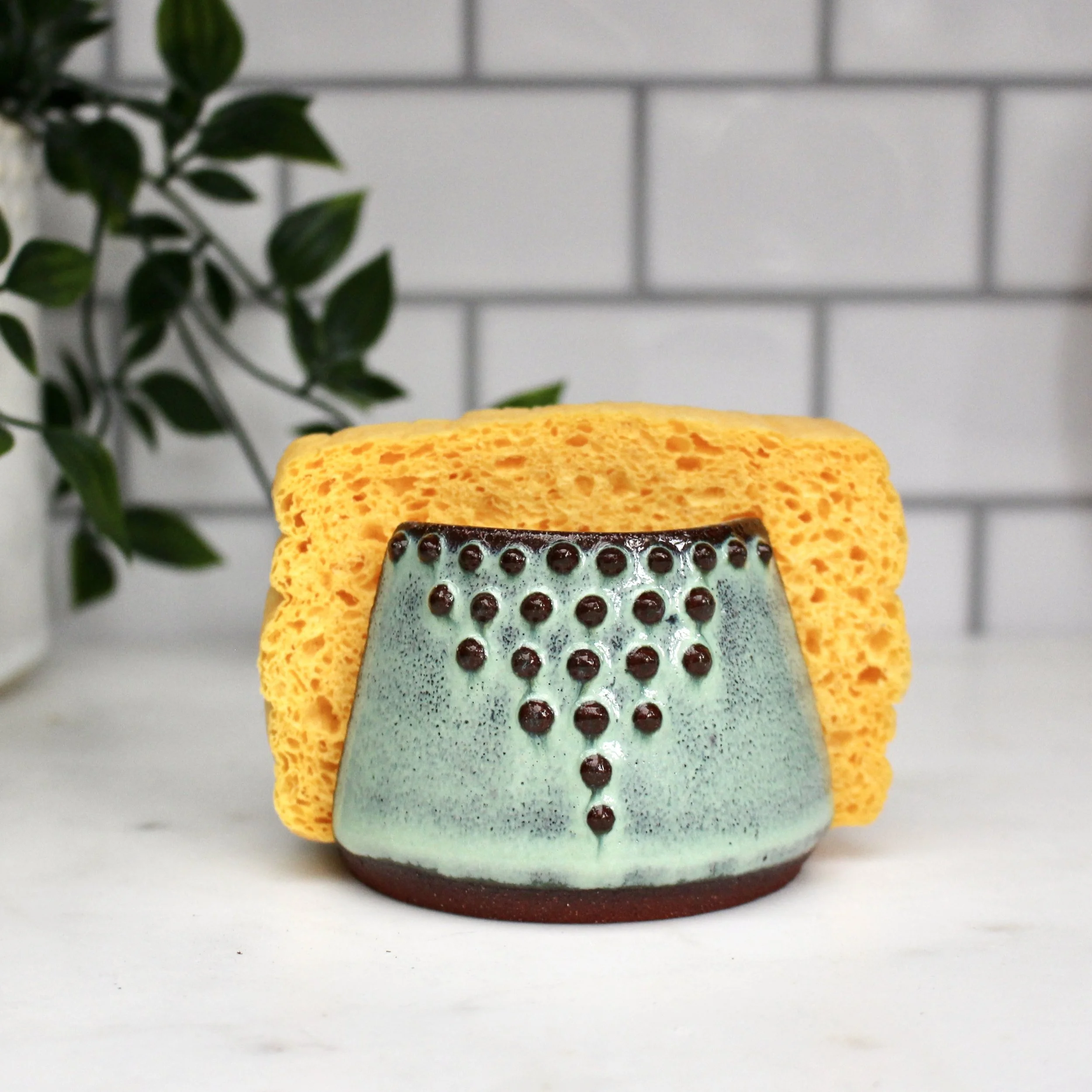 Sponge Holder in Aqua Mist