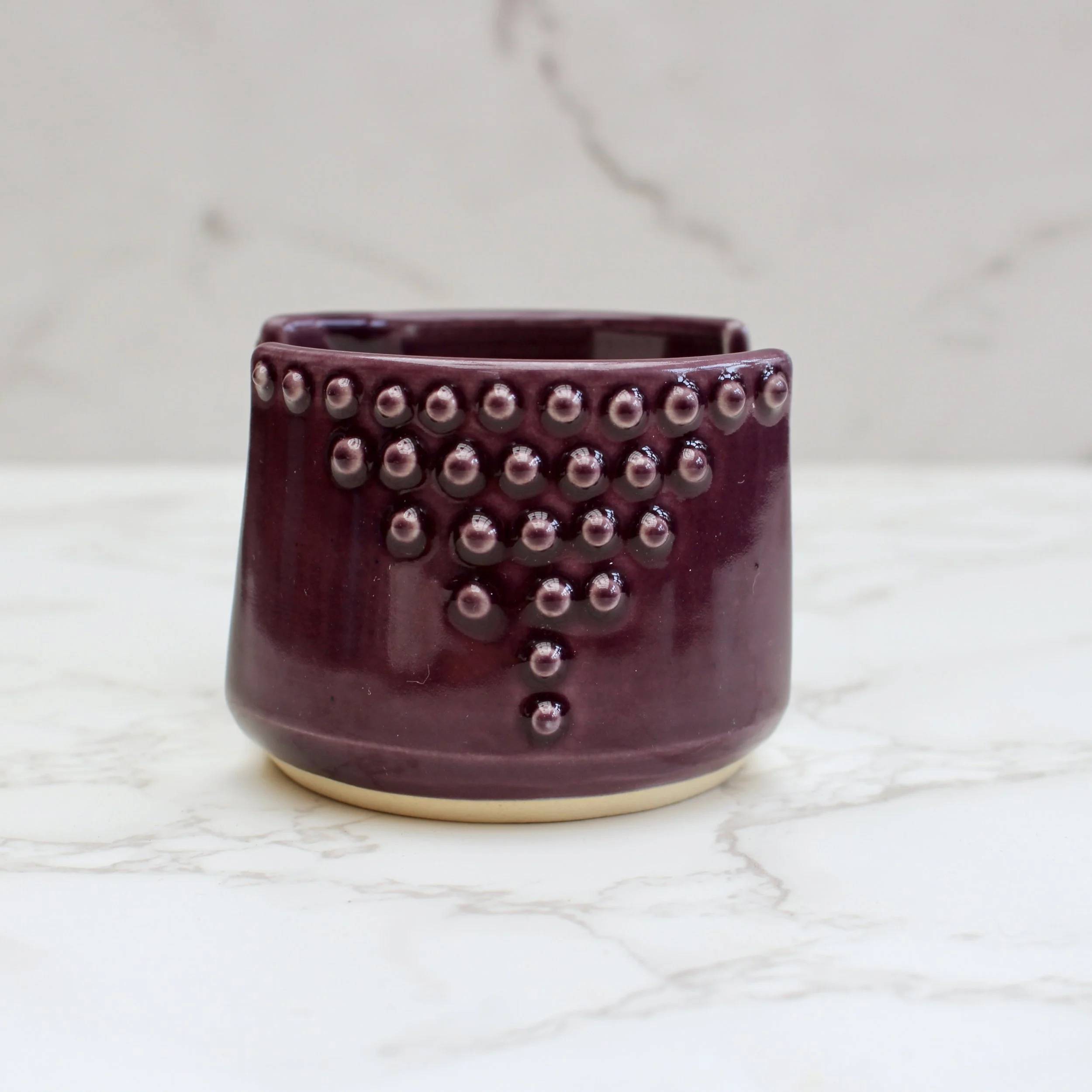 IMG_6626.jpeg (Copy)