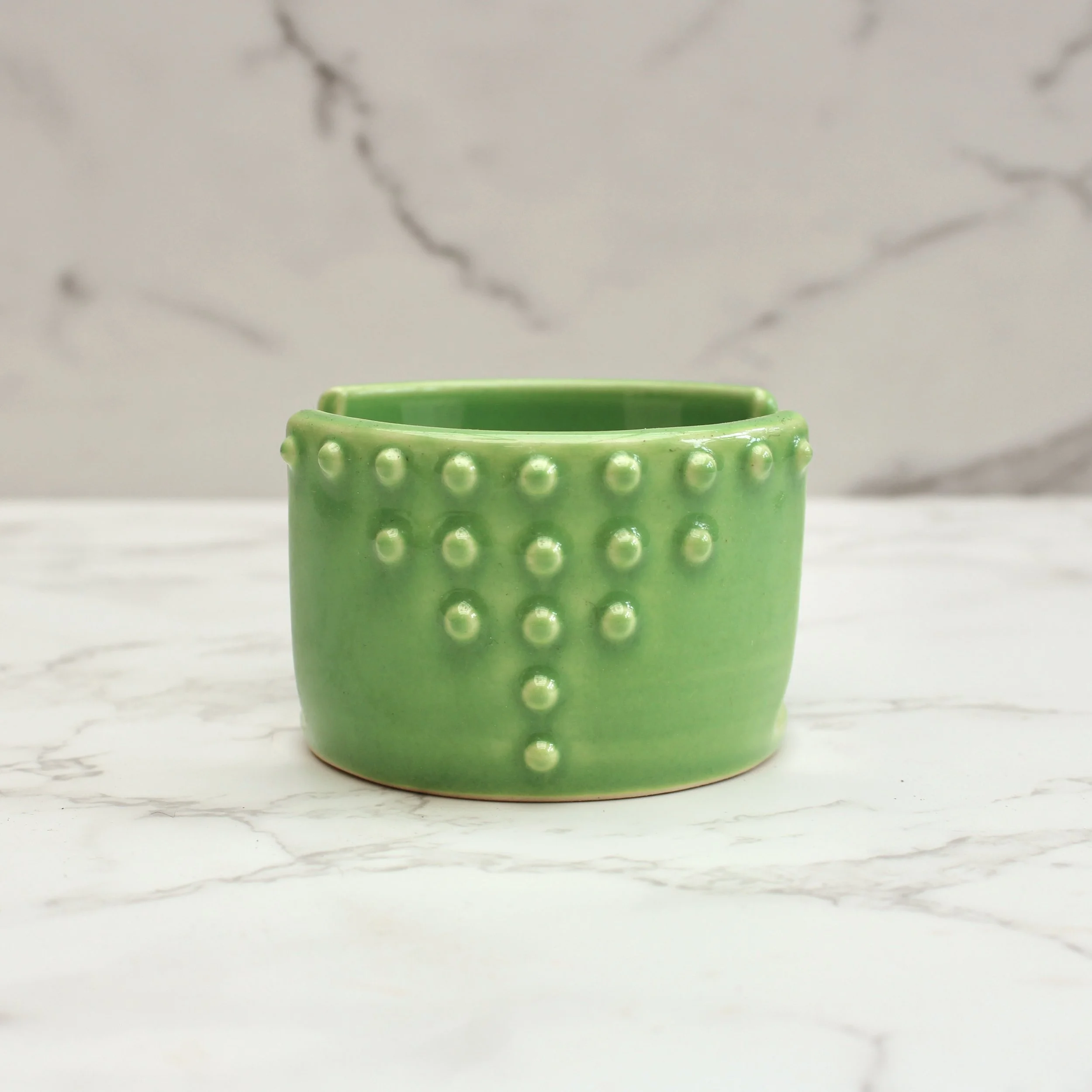 IMG_6627.jpeg (Copy)