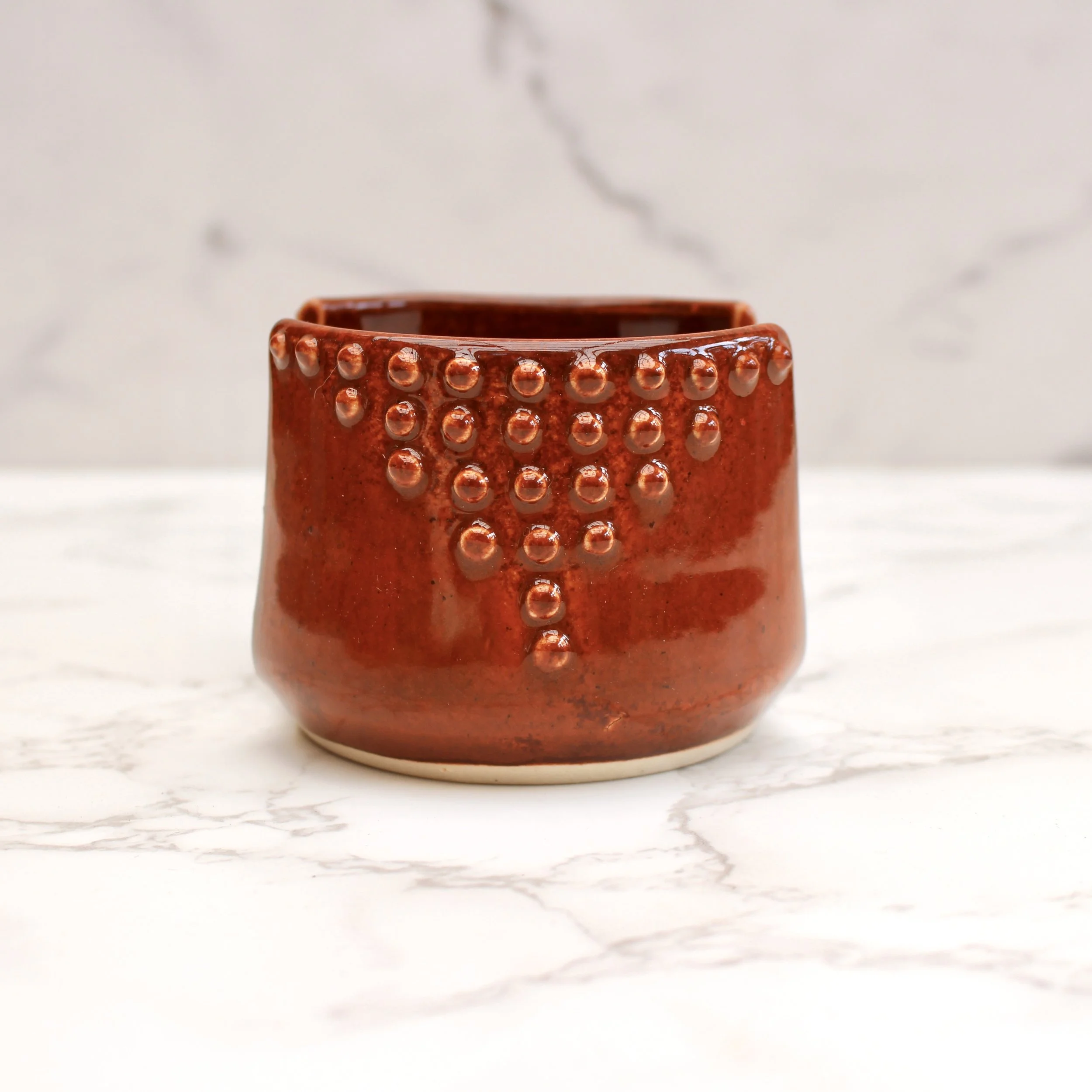 IMG_6617.jpeg (Copy)