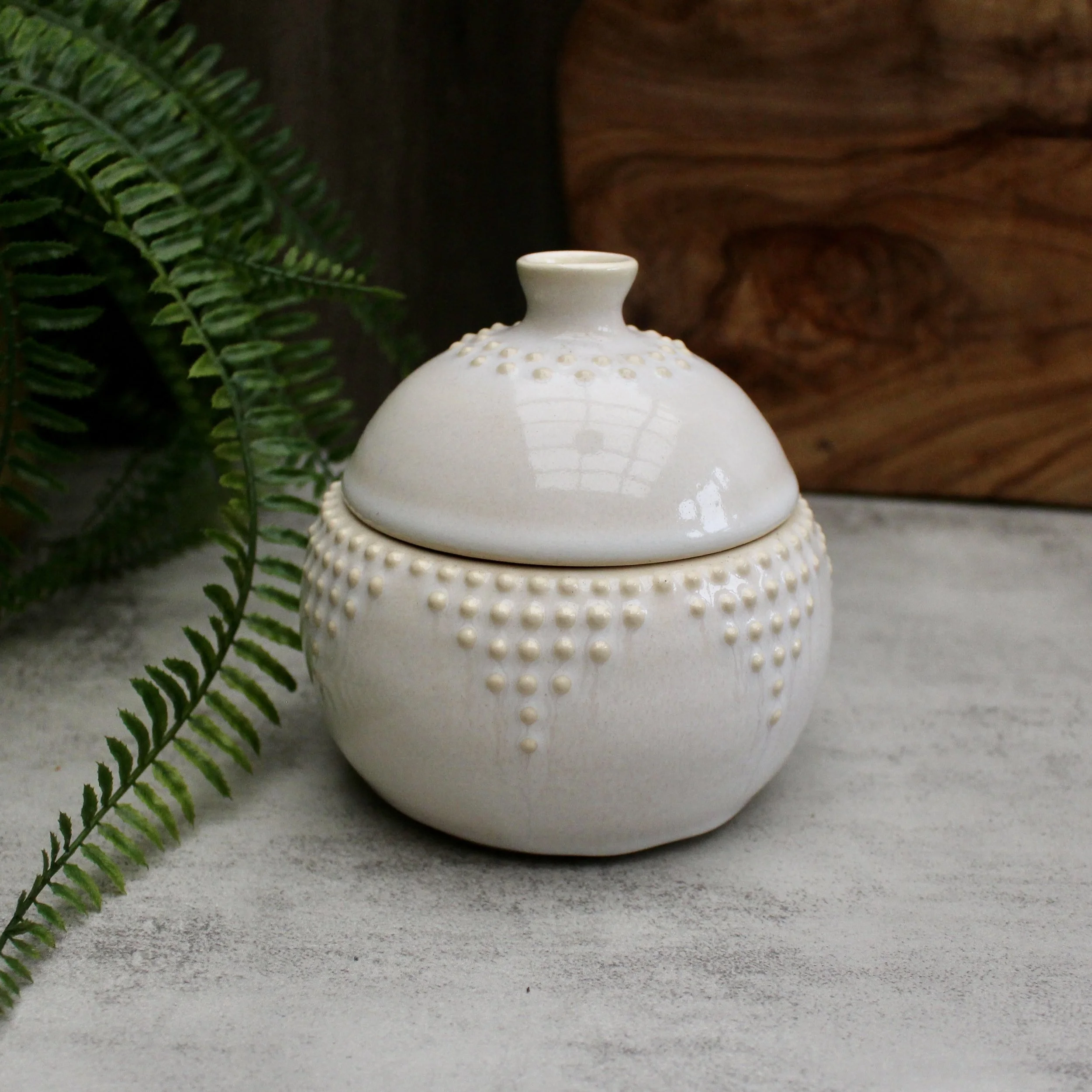 IMG_6405.jpeg (Copy)