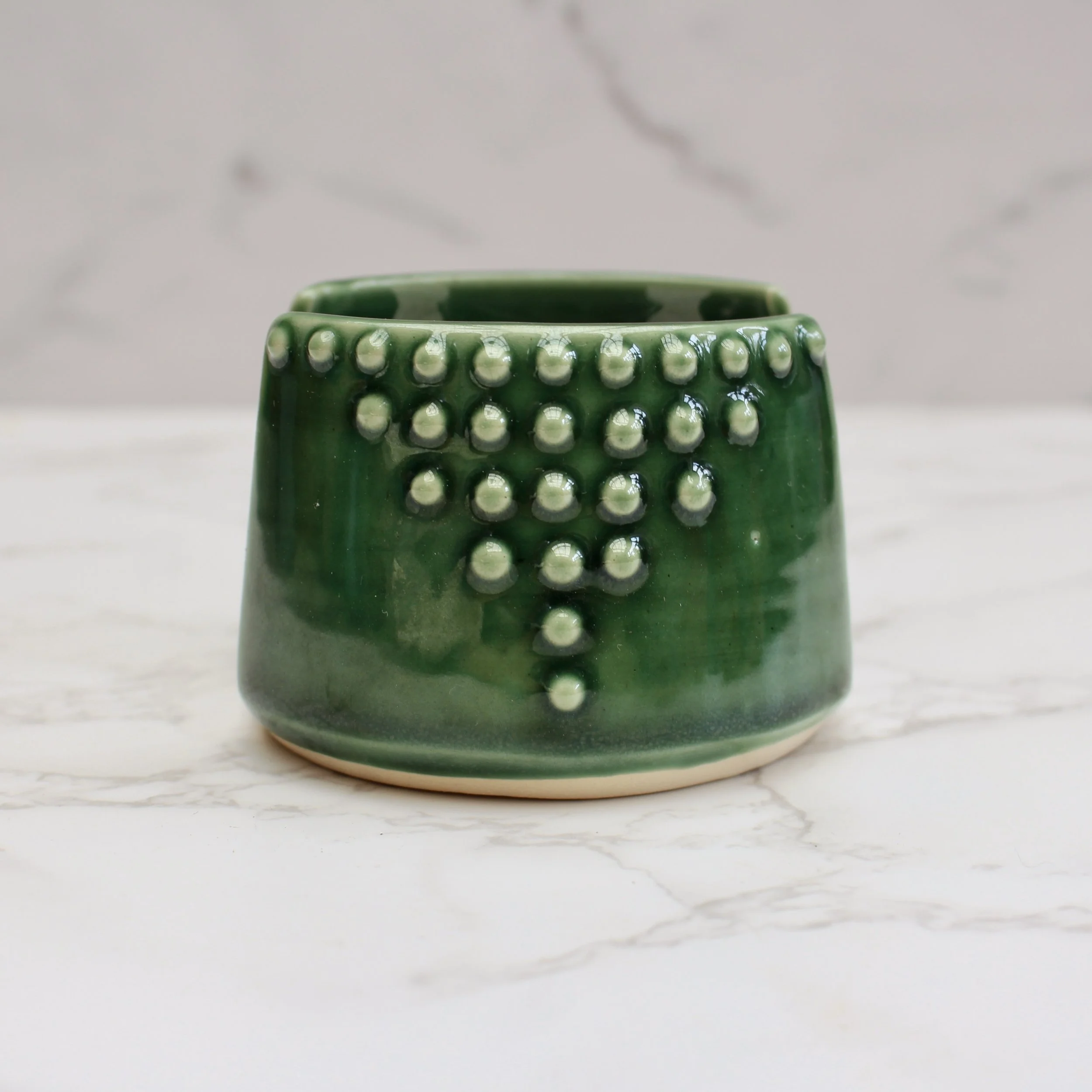 IMG_6623.jpeg (Copy)