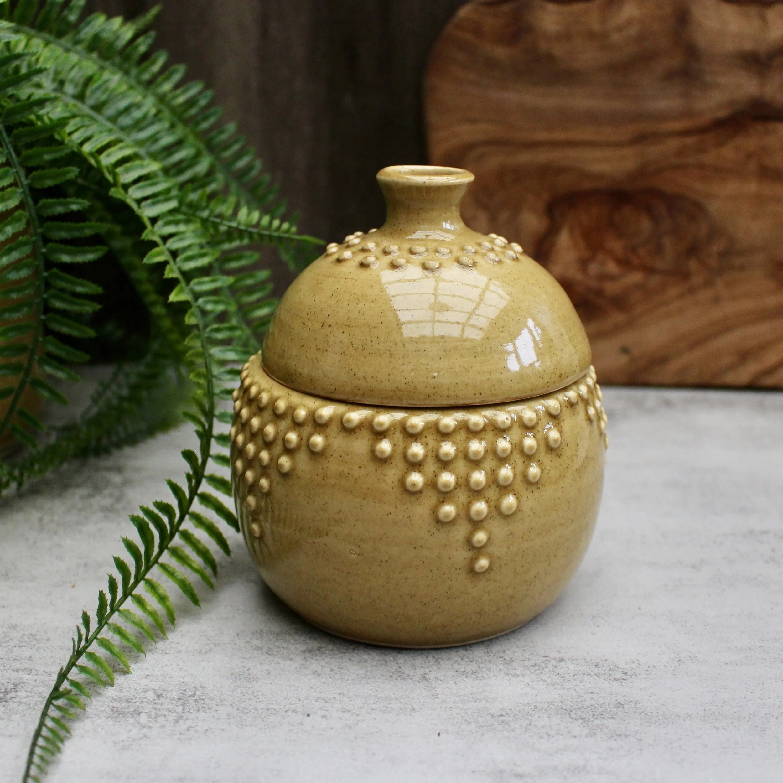 IMG_6408.jpeg (Copy)