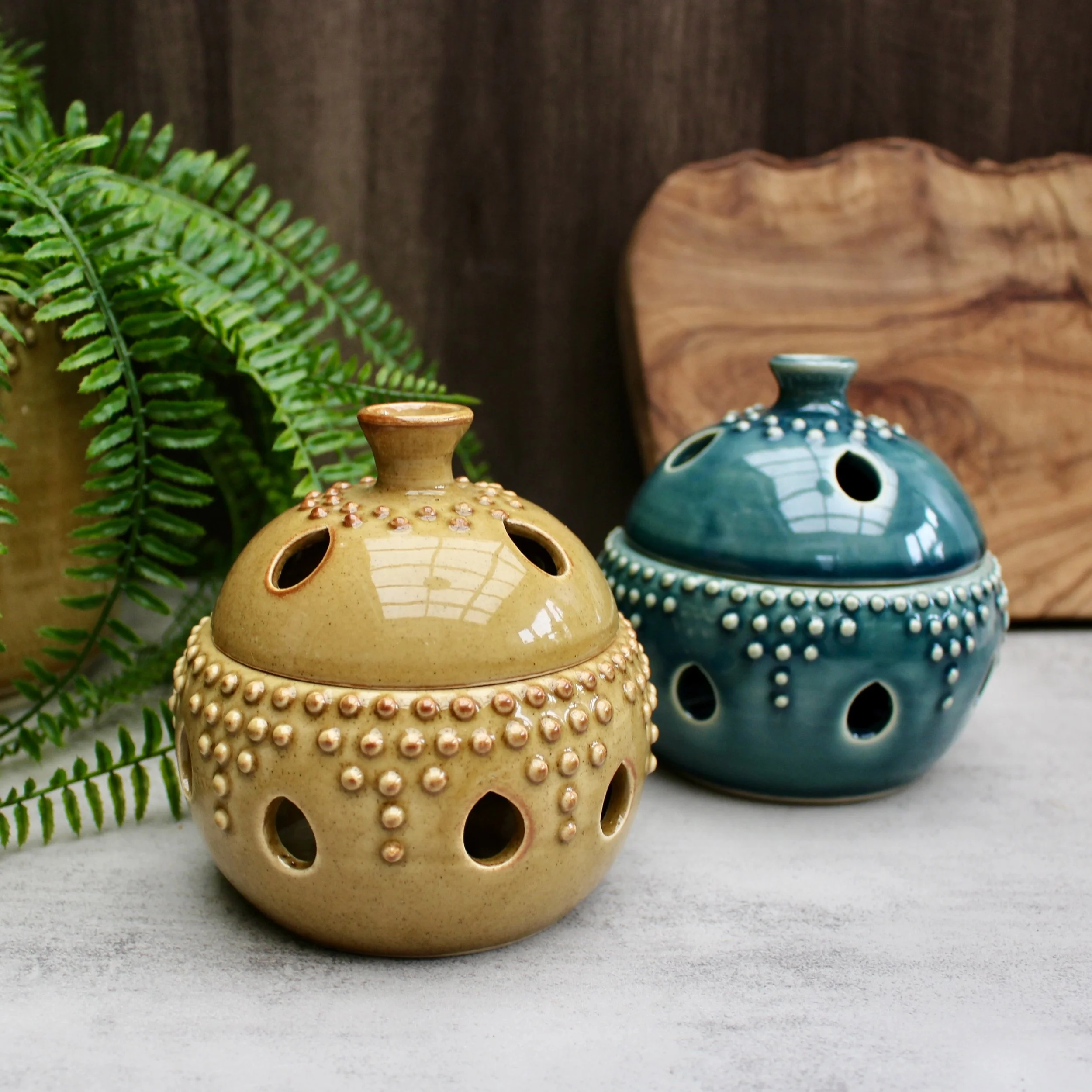 Garlic Keeper - READY TO SHIP