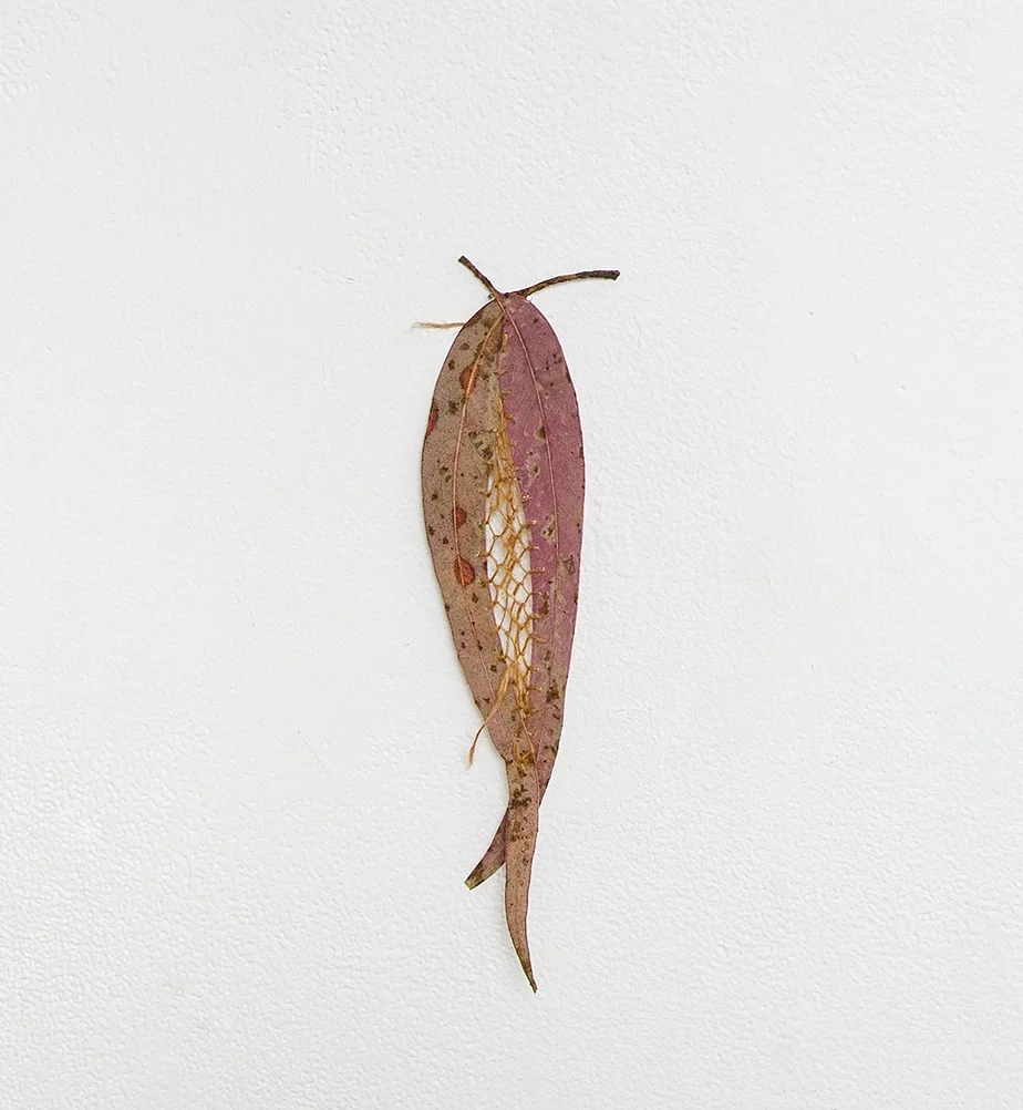 netted leaf 3 web.jpg