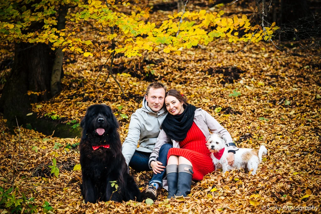 012 - 2016.10.30 - 13.38.19 - Strmenova Ajka tehu-3.jpg