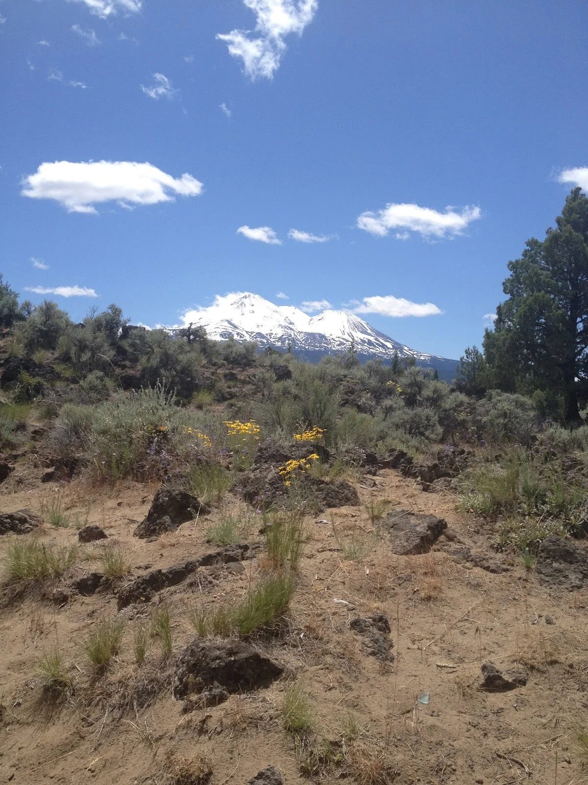 Your survival guide to outwitting the heat