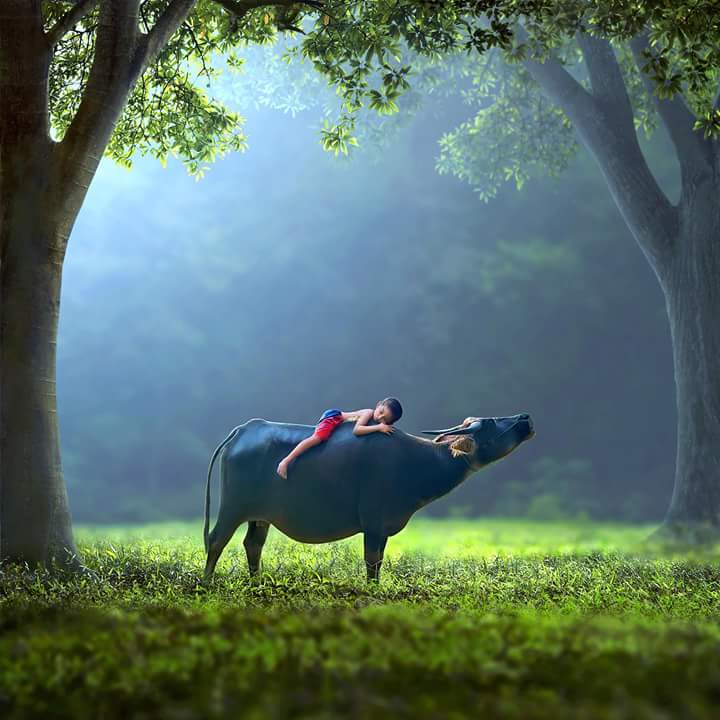(Immagine: Ipoenk Graphik)