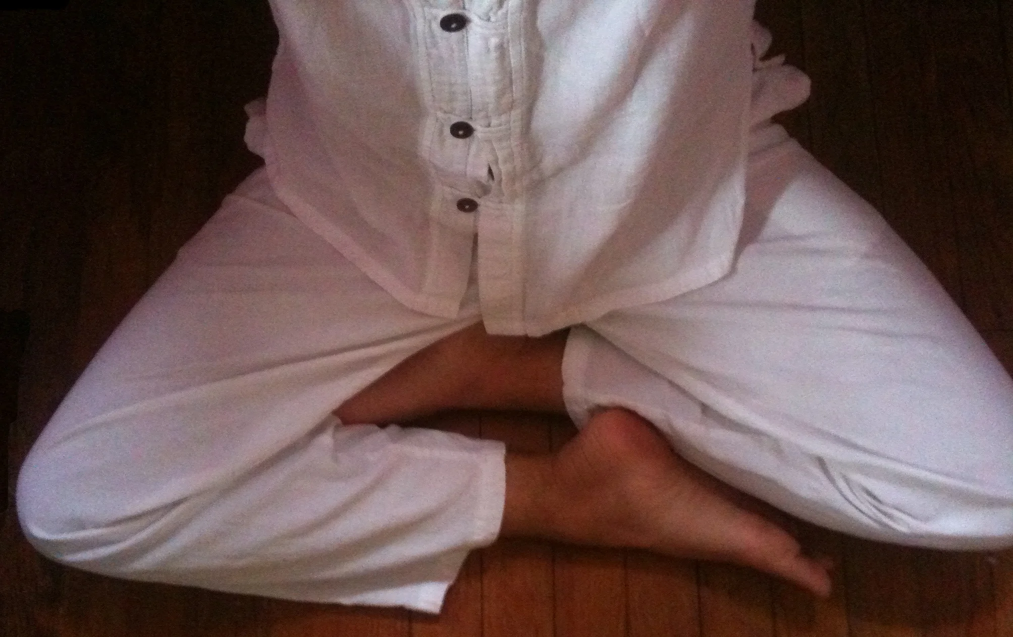 burmese-sitting.jpg