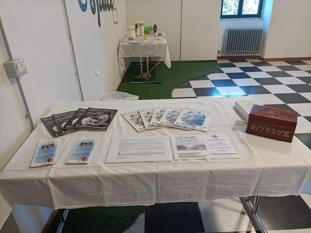 WhatsApp Image 2022-11-24 at 19.34.21.jpeg