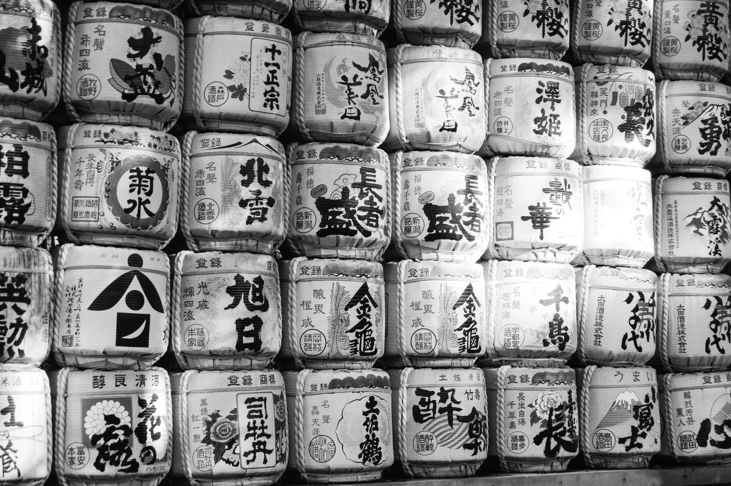 Yoyogi Park