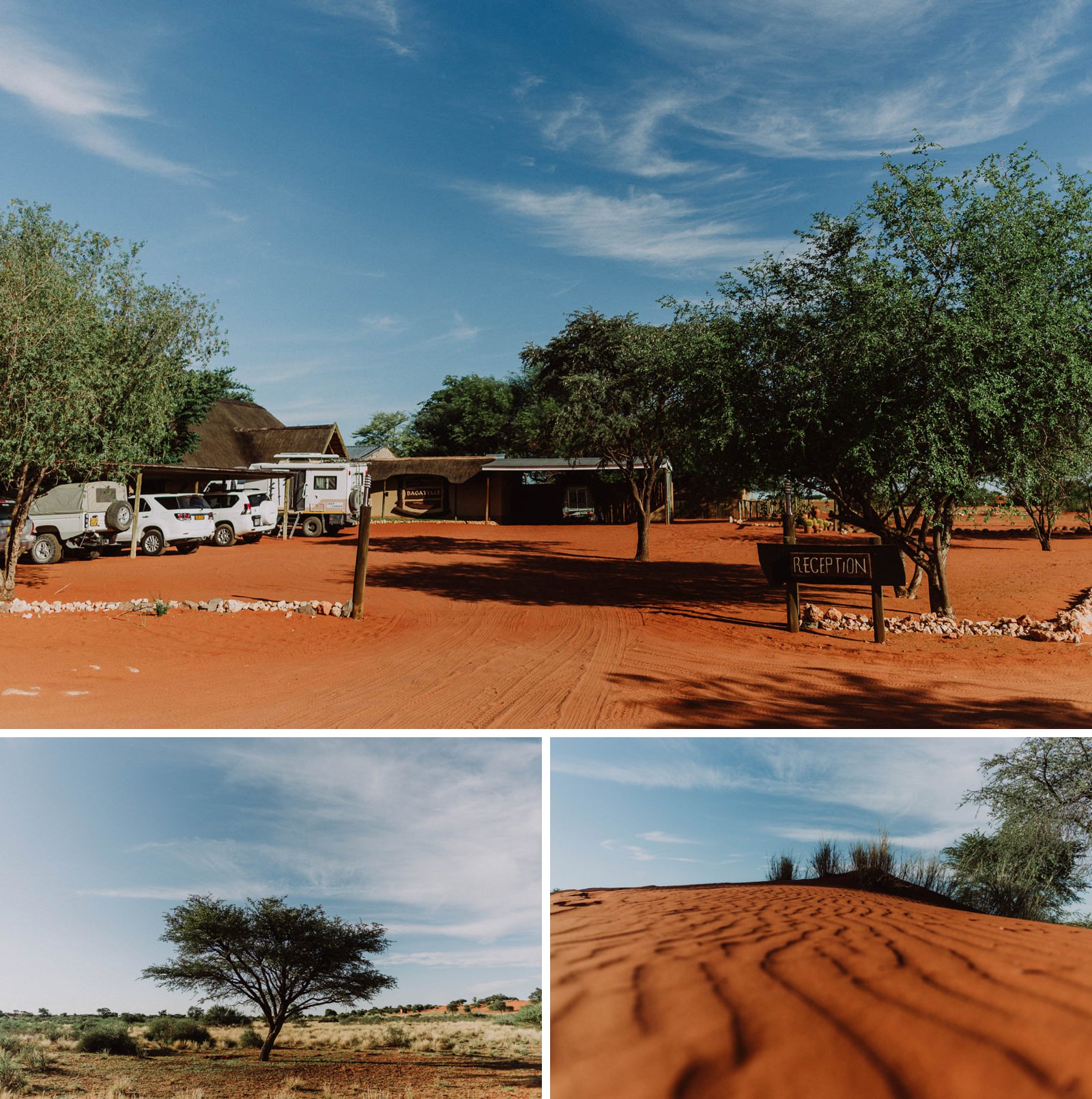 heiraten-in-namibia-9868.jpg