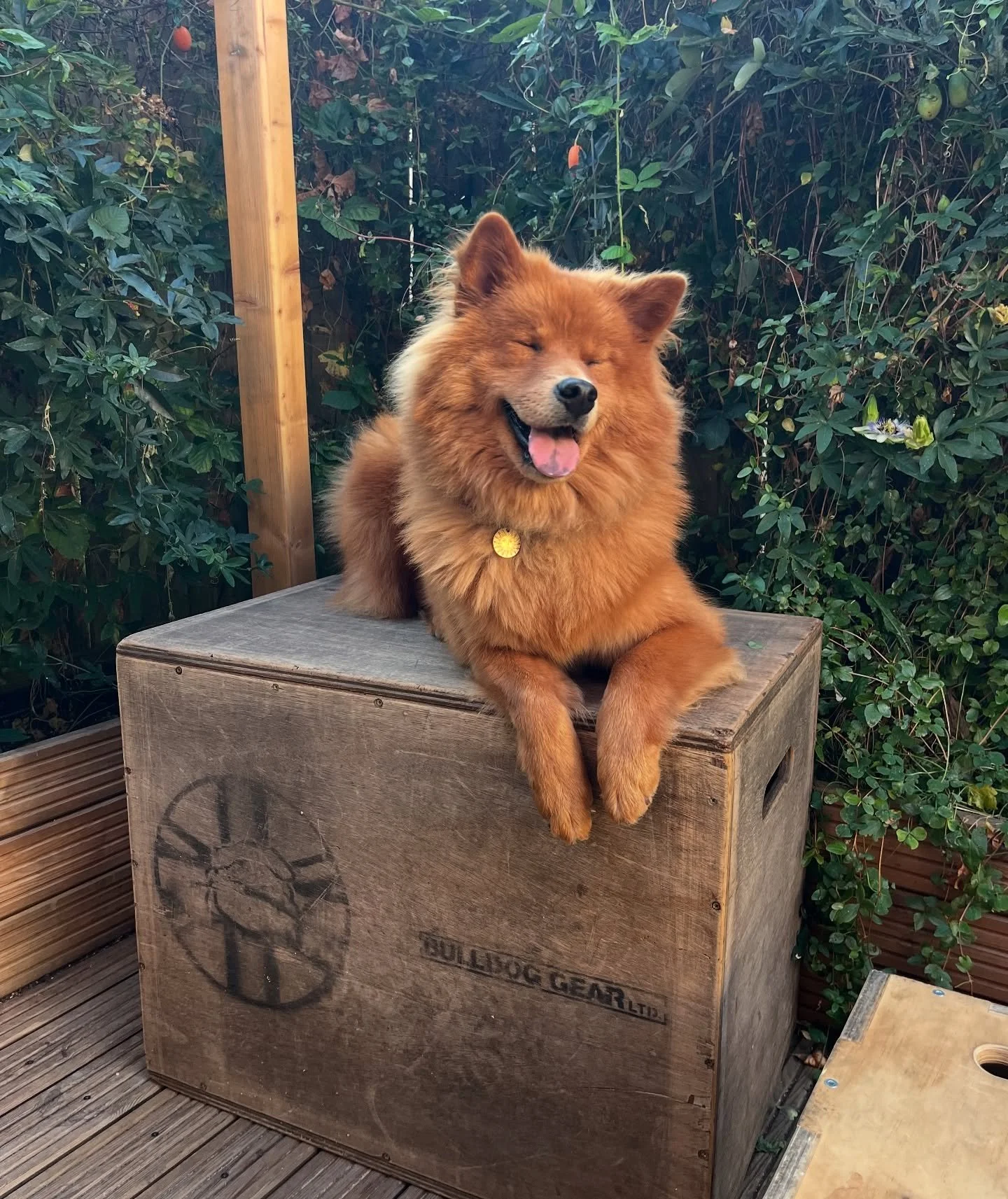 The 2 BTS shots I got from today&rsquo;s shoot with @niallcoffey ❤️