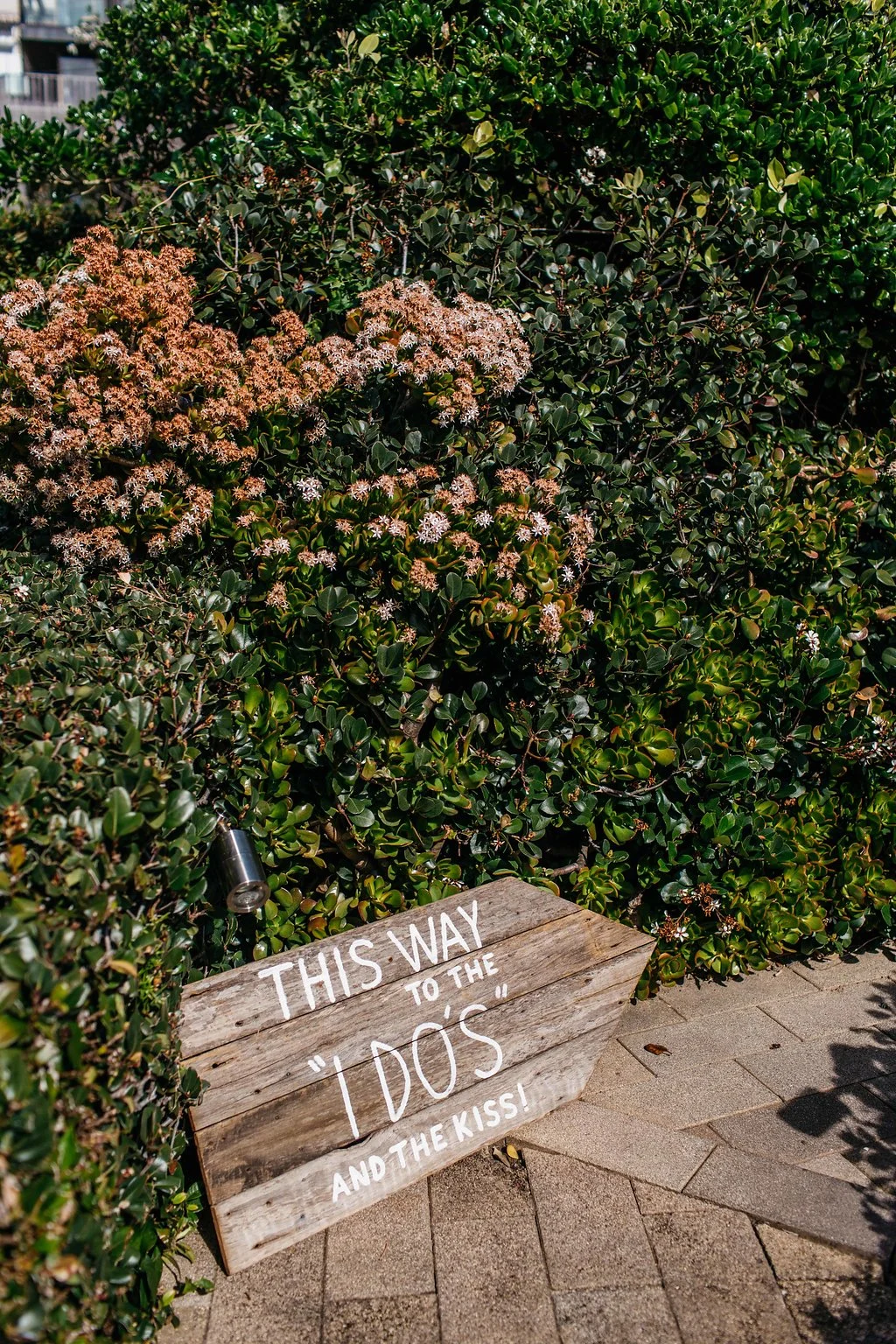 Wedding_Sign_Pilu_Northern_Beaches.jpg
