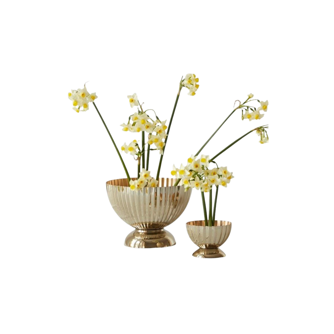 99FBA51E-FBEA-49D2-9499-F0F0842E55D9