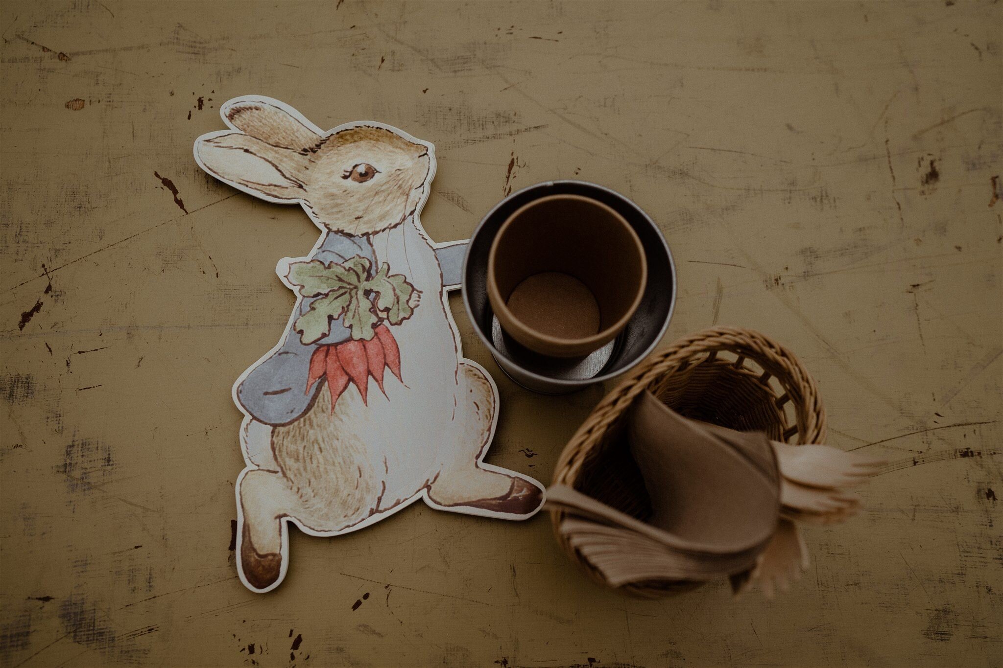 PeterRabbit_PartyPlates.jpeg