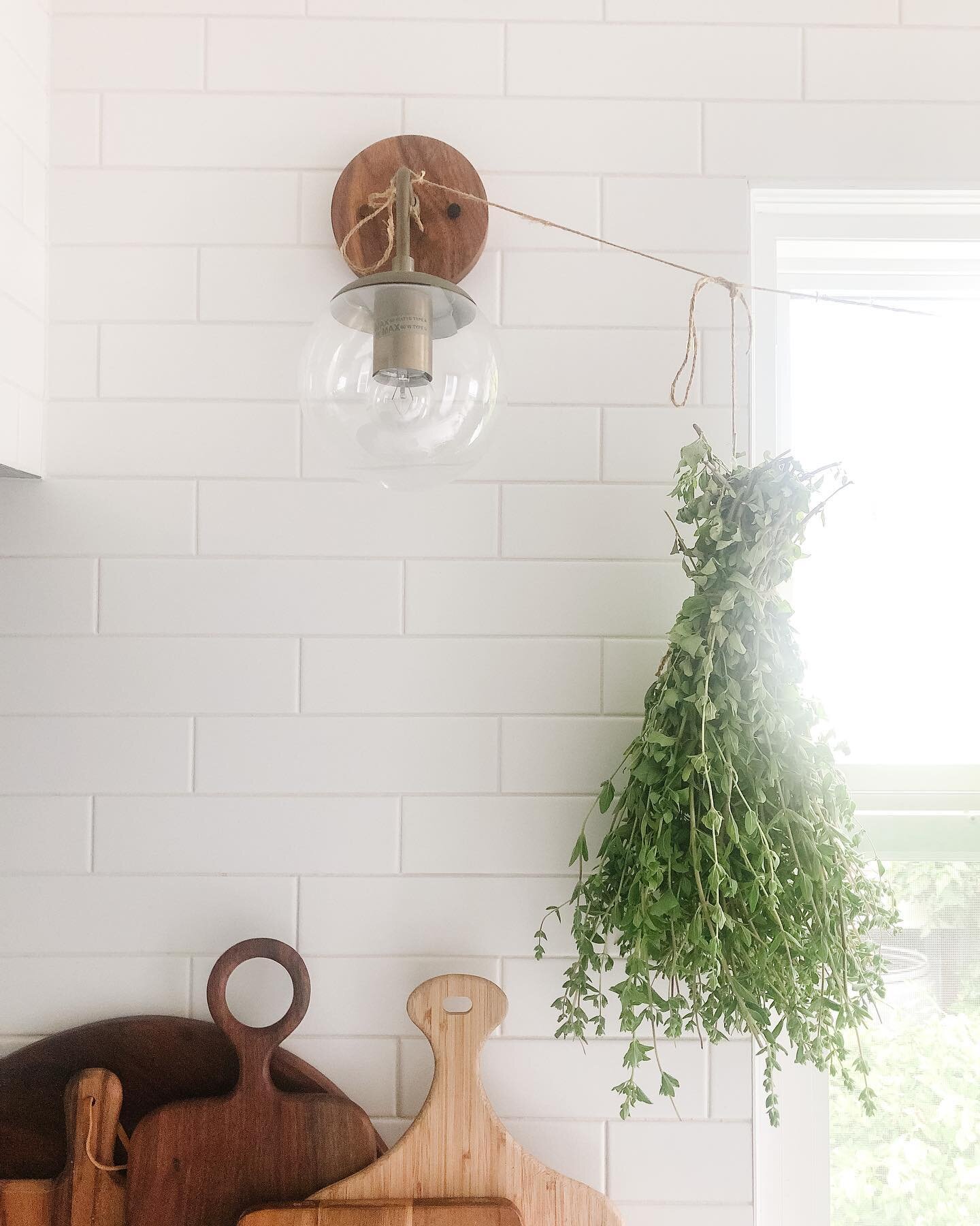 Happy Sunday friends 🌿
.
With all this warm weather we&rsquo;ve had this Spring, the Oregano has been growing wildly. Nothing like a Spring Harvest. 🌱
.
The rain has returned today so the rest of the garden can try and catch up. 🌧
.
Wishing you al