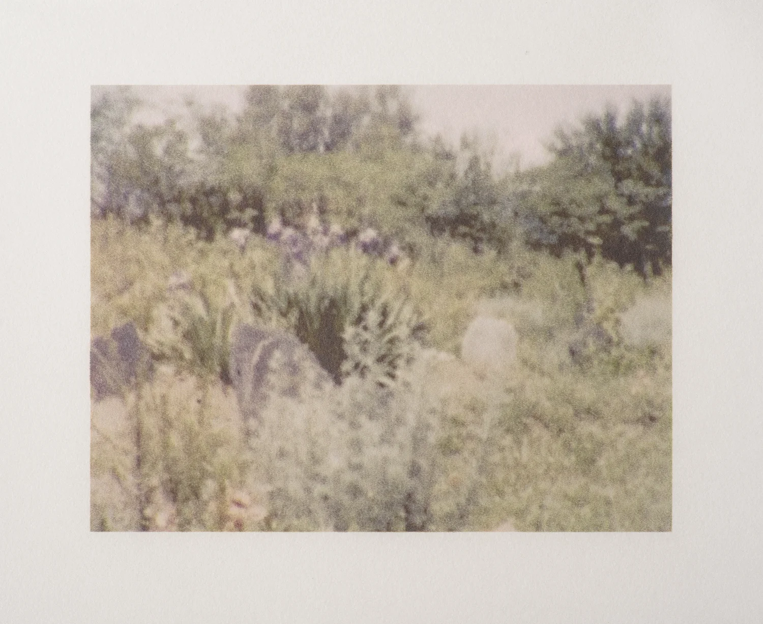 Finding Nowhere II Digital print on Tosa Shi paper 23 x 28 cm 2016