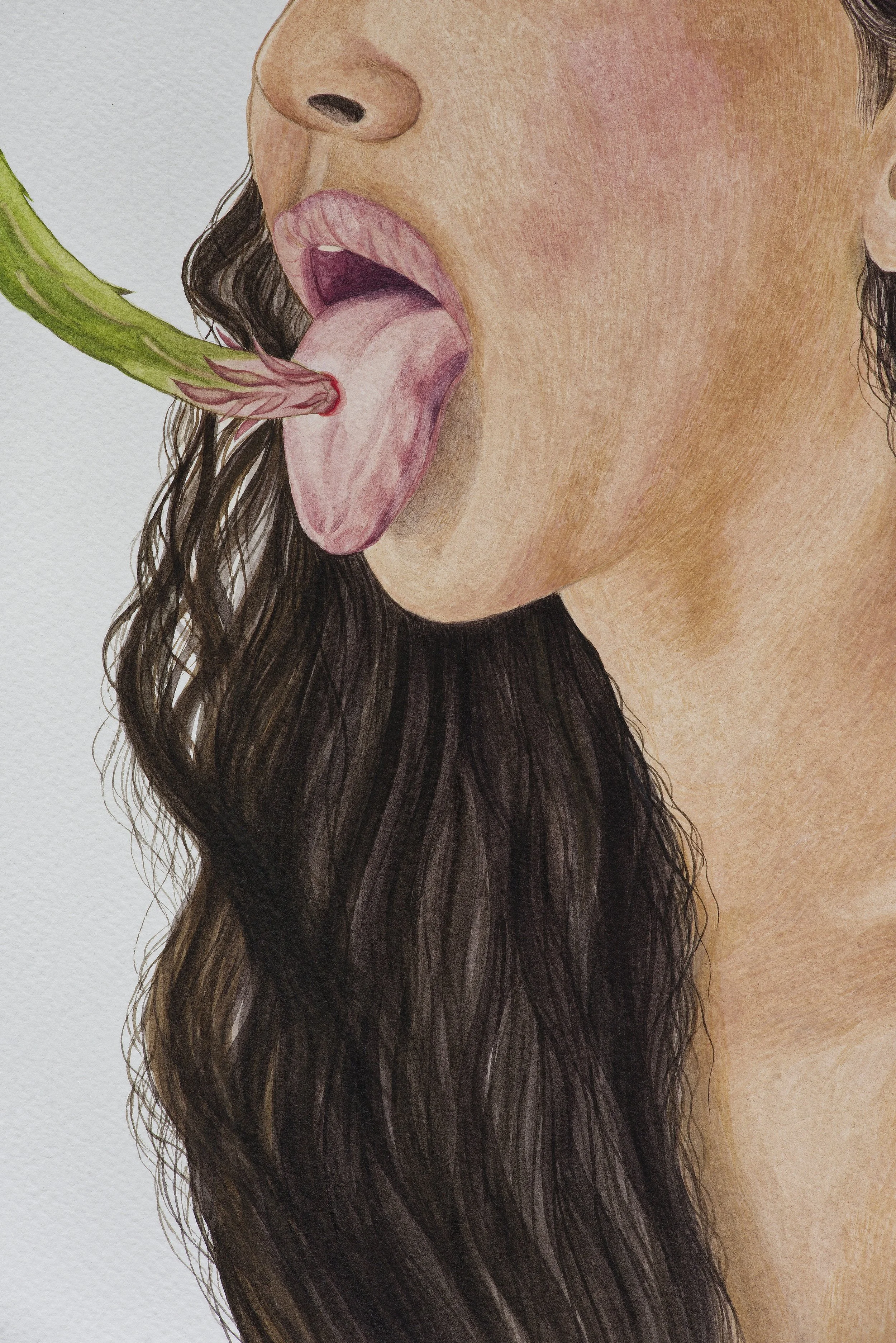   Detail  