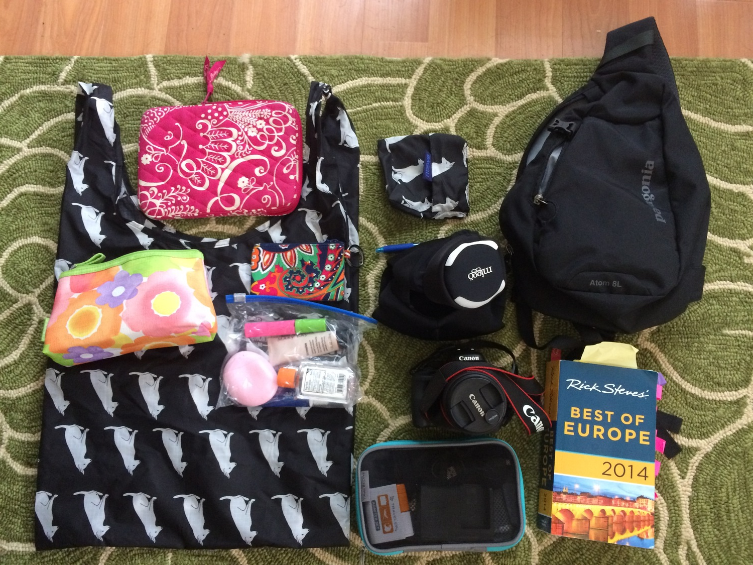 Carry On: Electronics Bag: Black Patagonia Atom Sling (used as day bag) Converter Baggu Market Bag 3 Portable Chargers Toiletries Bag: Razor, Toothbrush, Face Wipes, EmergenC, Kleenex Camera Charger Liquid: Mascara, Foundation, Hand Sani, Lotion 2 iPhone/iPad cords Electronics Bag 2 Portable Battery cords iPad Mini 2 USB wall chargers Vera Bradley ID Zipper Pouch SD Card/ iPad cable Pen & Notebook (not pictured) Headphones Rick Steves' Best of Europe SteriPen (I drink a lot of water, so I want to make sure I'm safe) Cannon Rebel SL1 Soft Camera Case iPhone 5S