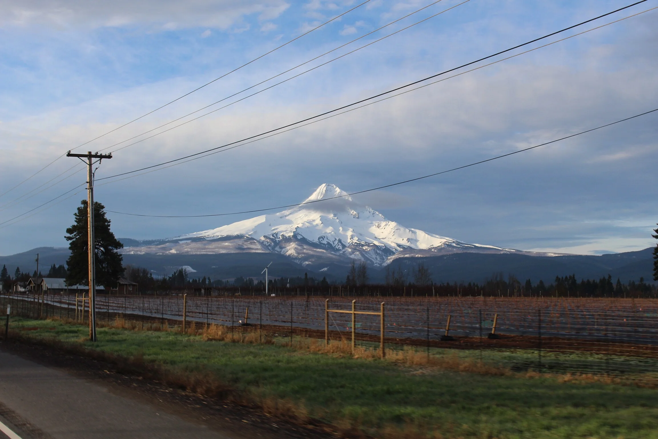 Mt. Hood: taken out of the sun-roof on our way to the mountain.