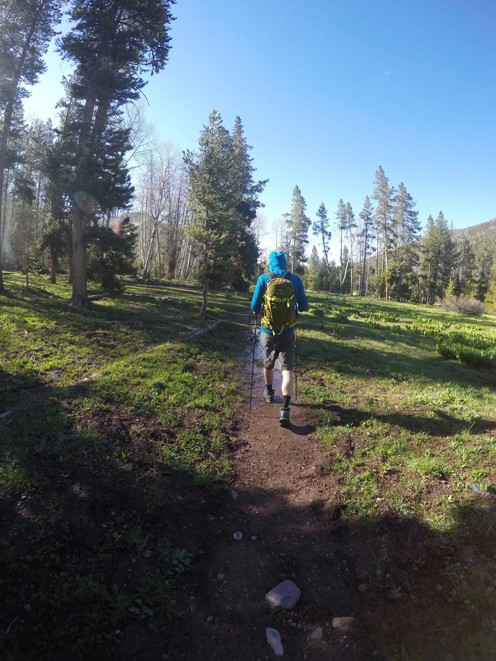 Hiking in early spring, the trails are muddy from snow melt. Snow covered half the trail, forcing us to turn around 3 miles in.