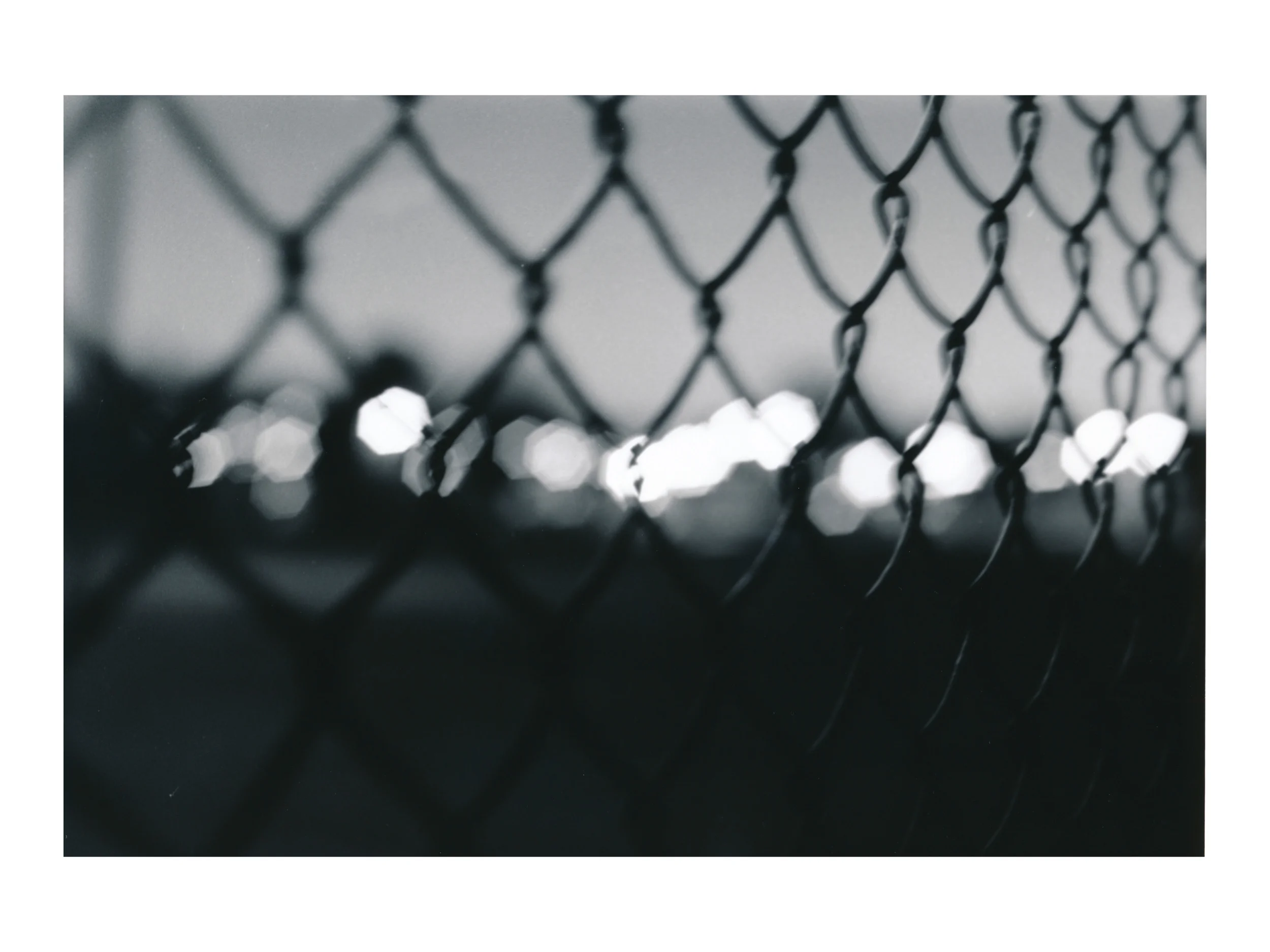 Caged.jpg