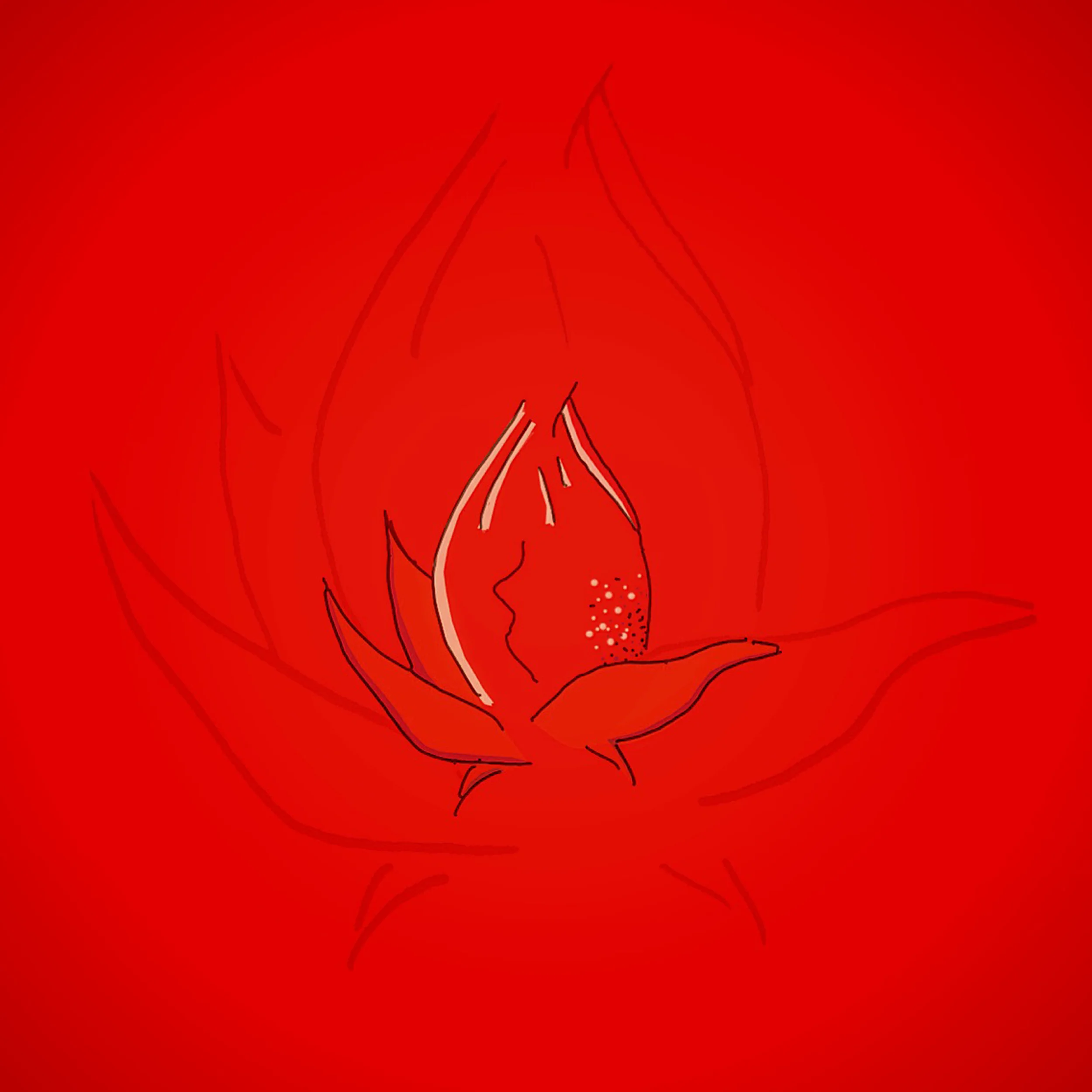 Rose.jpg