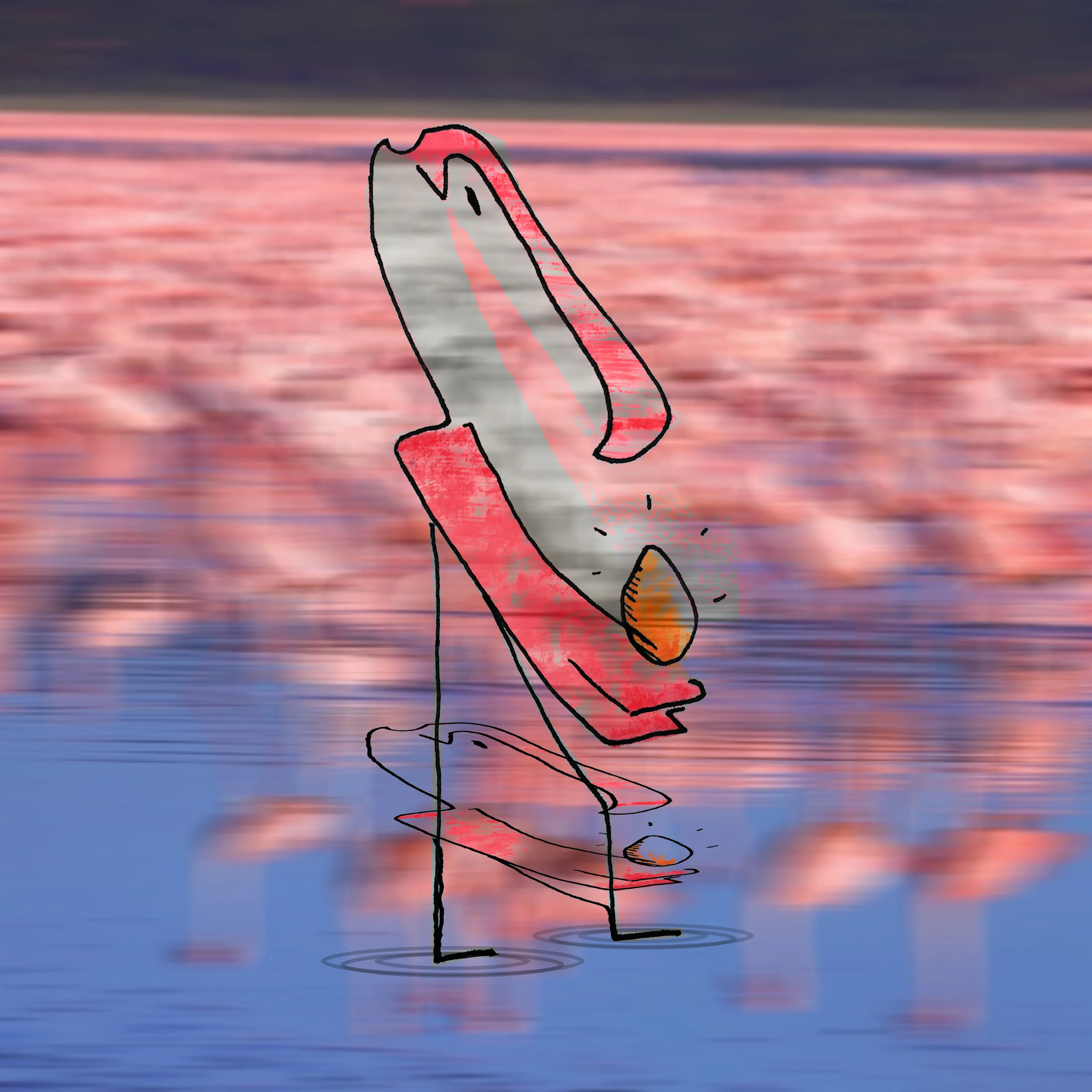 Flamingo copy.jpg
