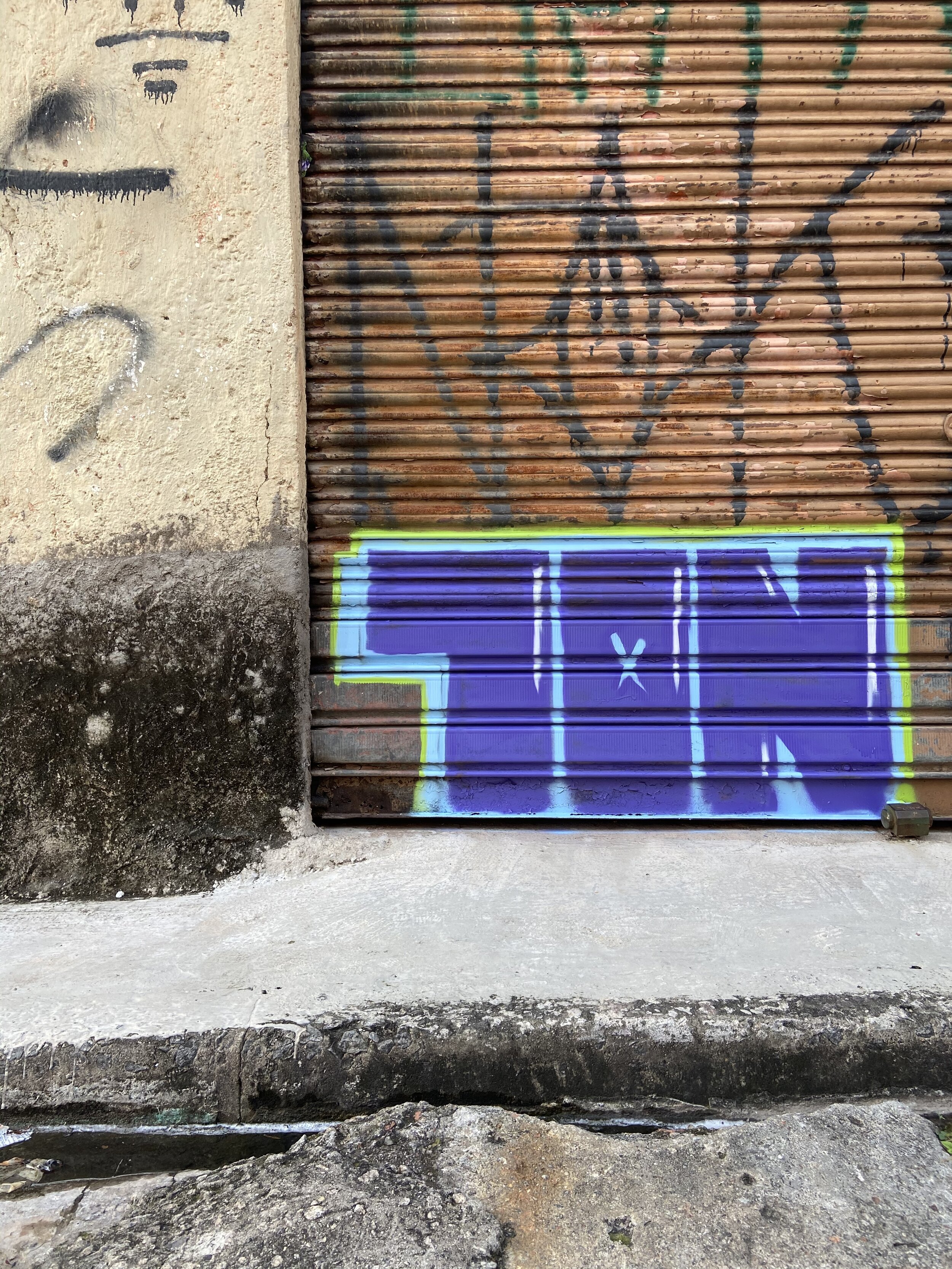 IMG_2708.jpeg