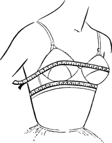 how to measure your bra size2.jpg