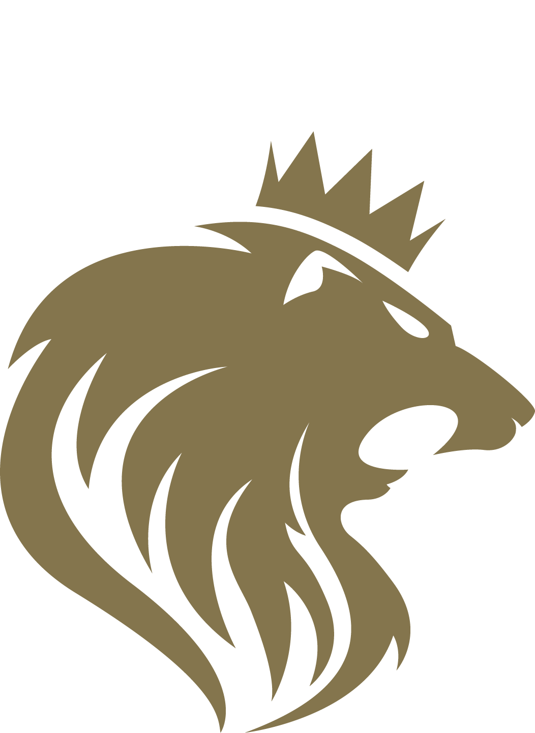 South Aiken Jiu-Jitsu logo