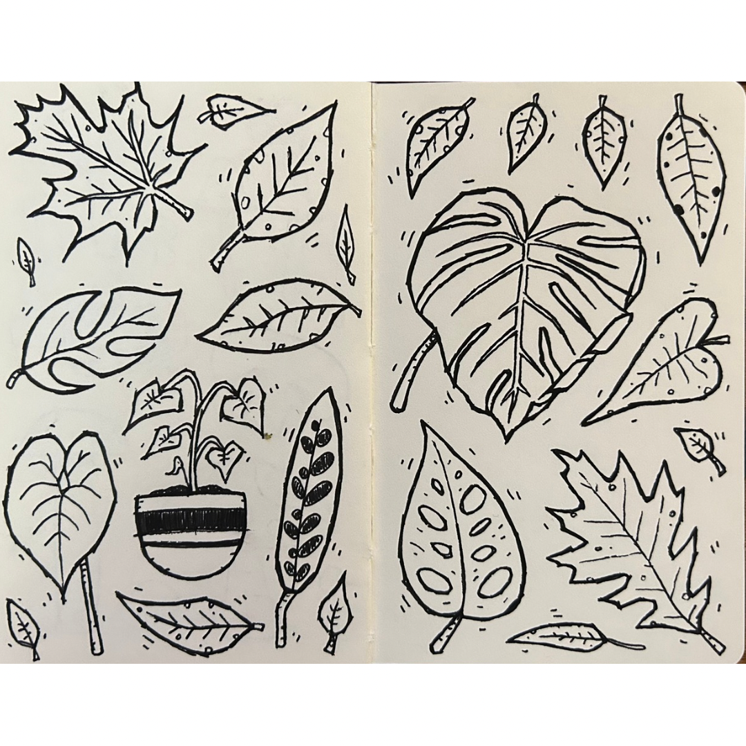 Untitled design 26.png