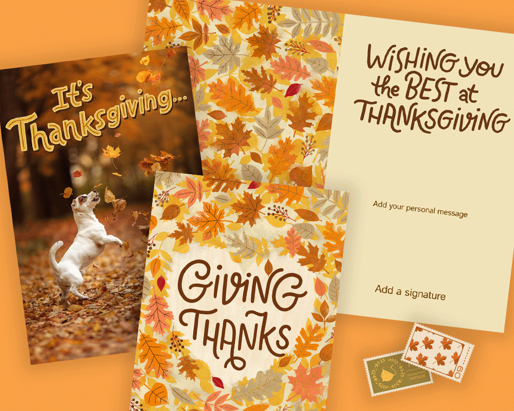 BMA_Thanksgiving_CAC_Category_Banner_Mobile_3556046_3556047.gif