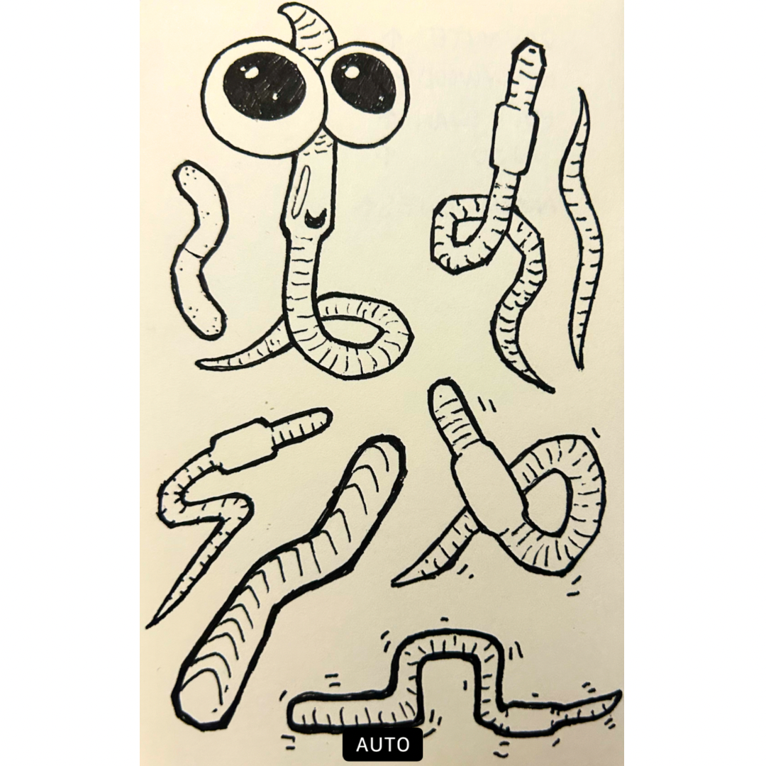 Untitled design 28.png