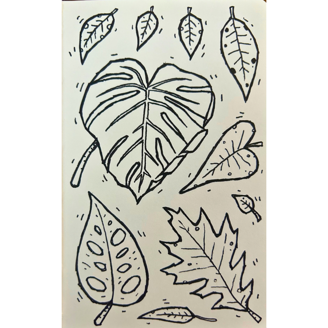 Untitled design 25.png