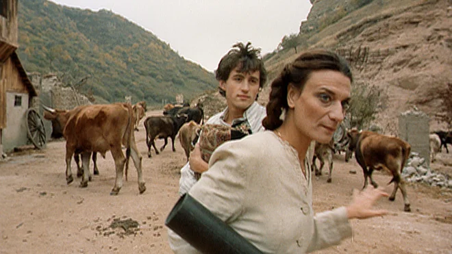 SAVE AND PROTECT (1990)