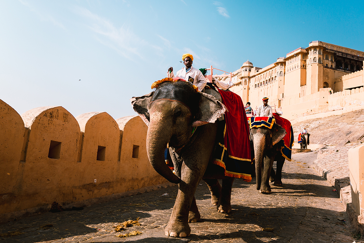 travel-photographer-india.jpg