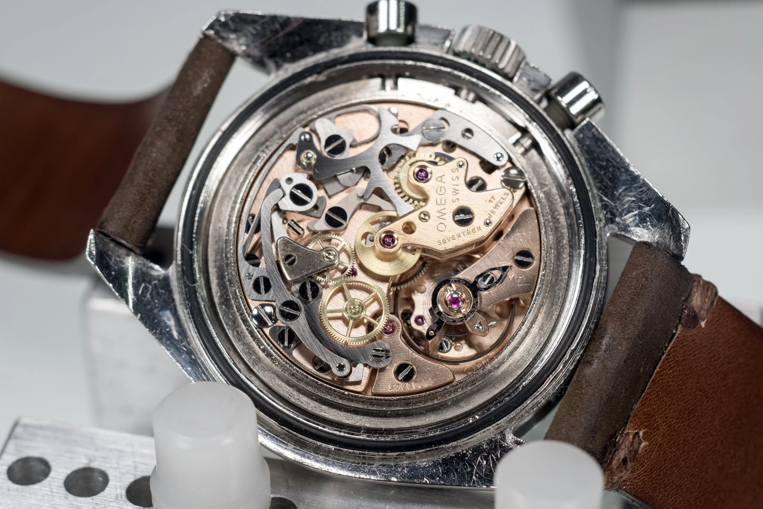 Glynn-18.jpg