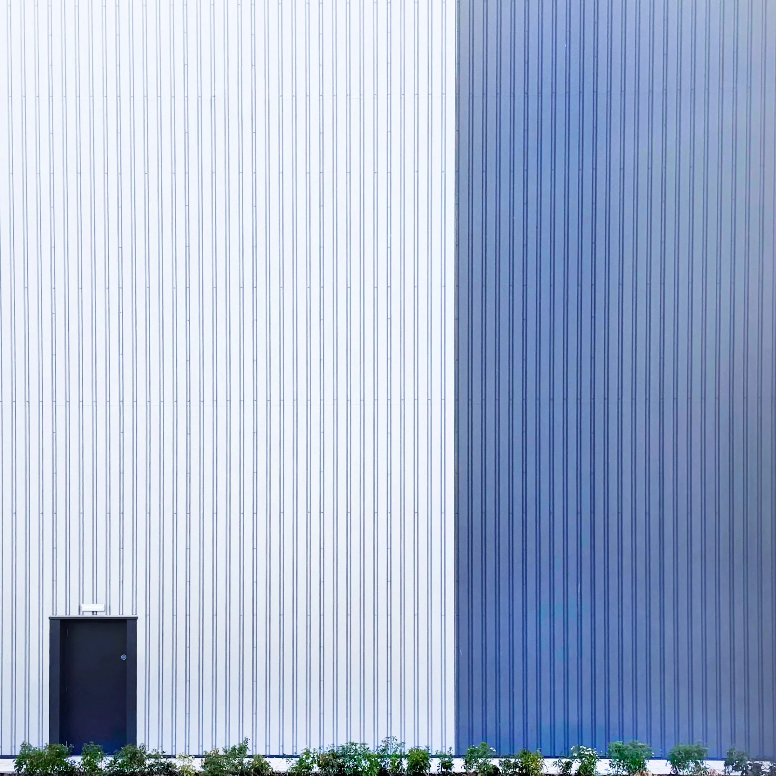 55288910339_e053964500_o.jpg