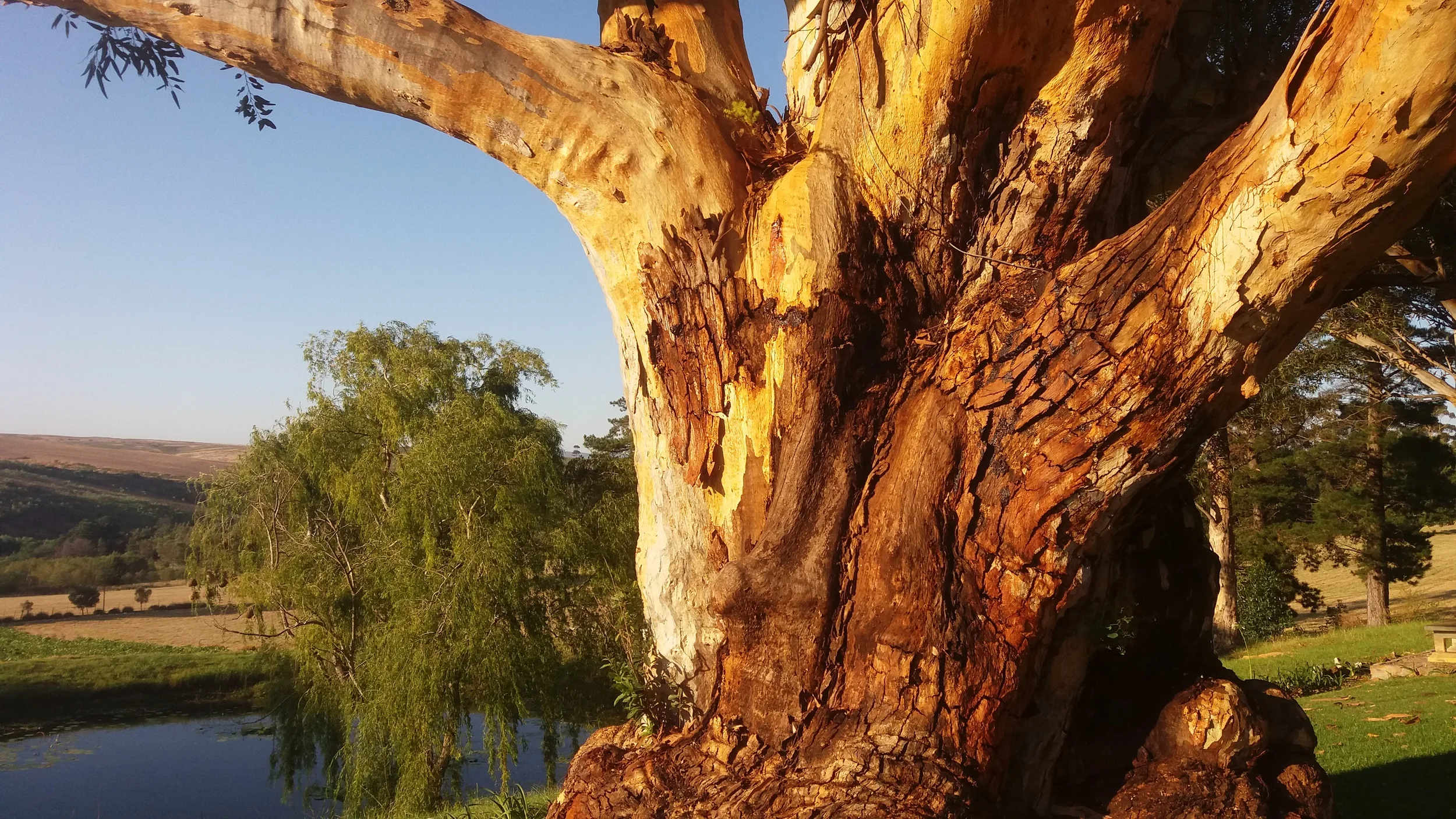 Travelling with Nancy Kline and Time To Think