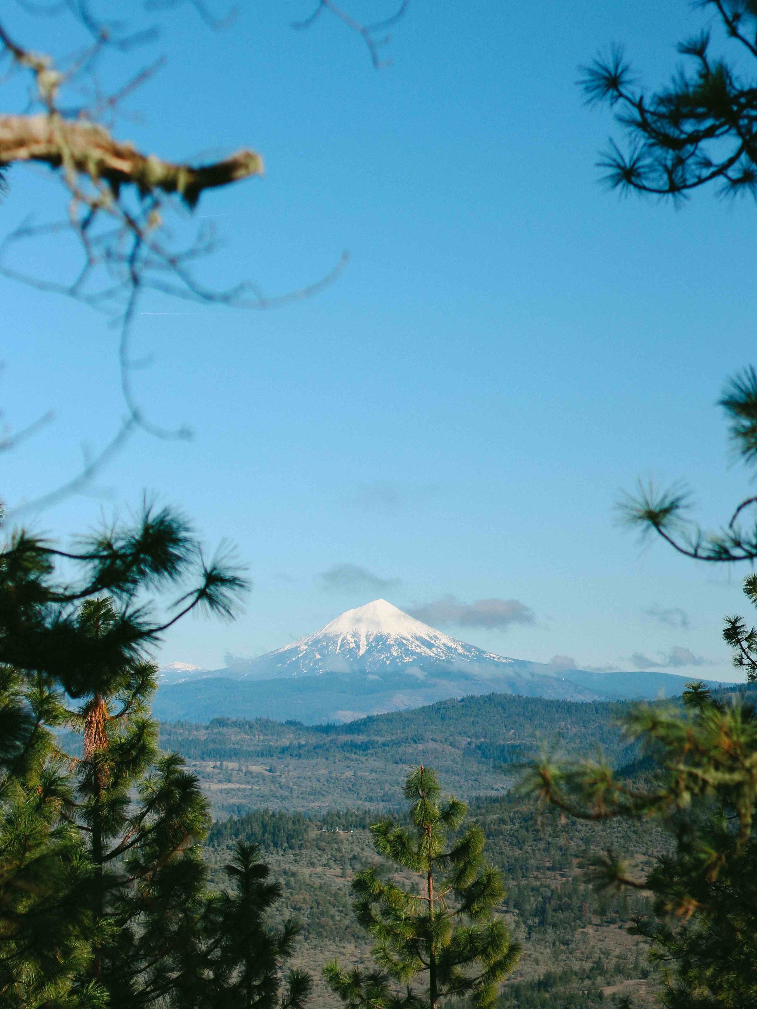 View of Mt. McLoughlin from Roxy Ann Peak