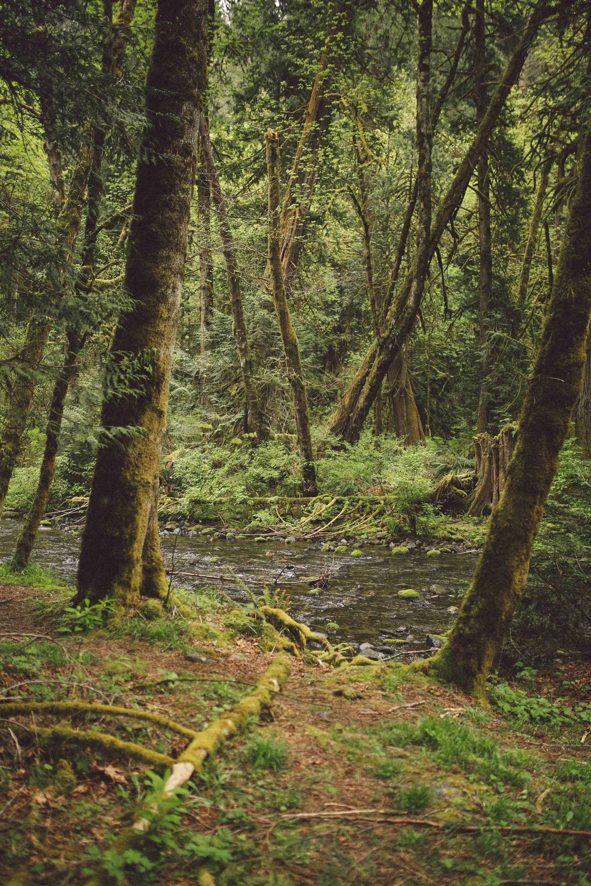 Goldstream Provincial Park