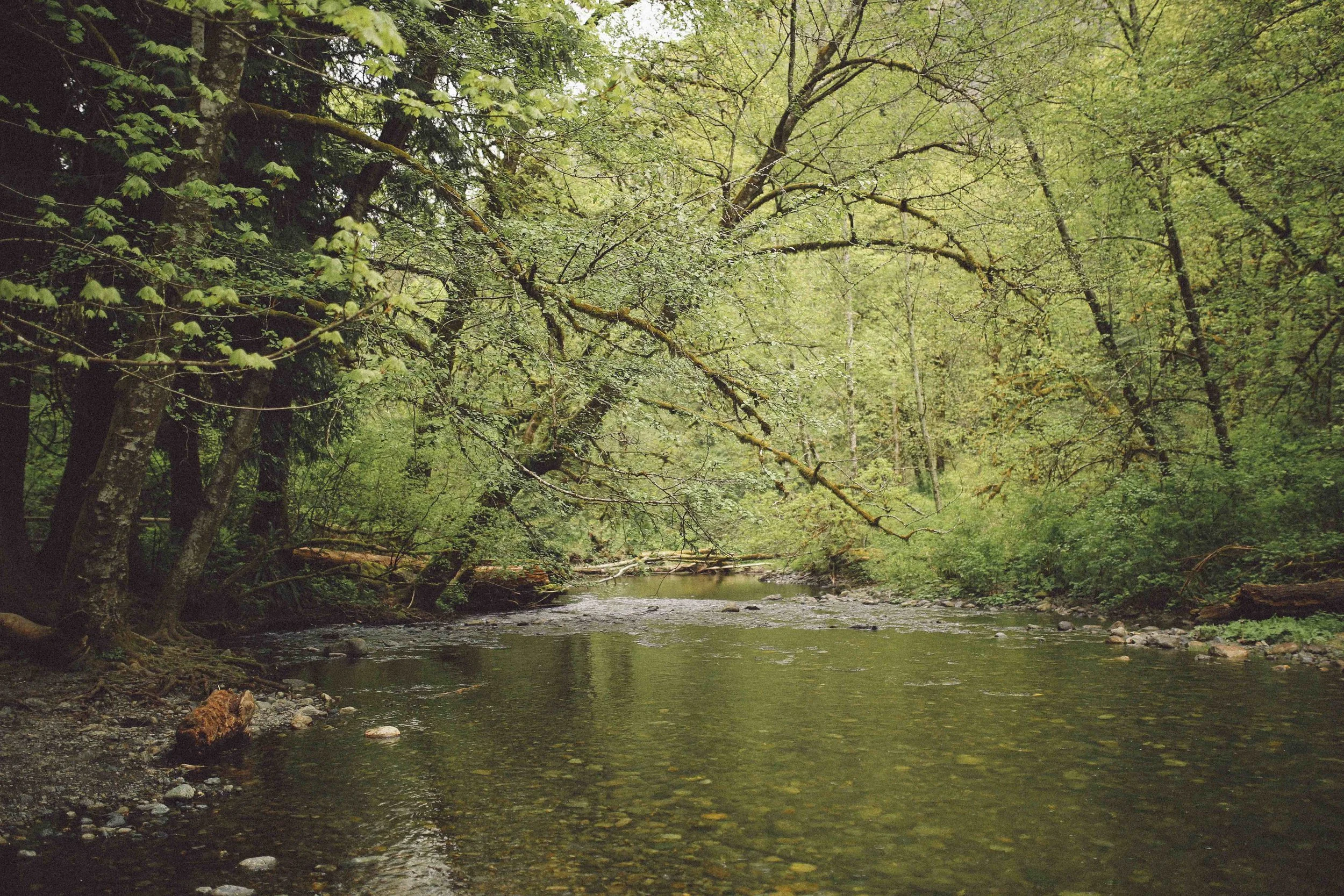 Goldstream Provincial Park