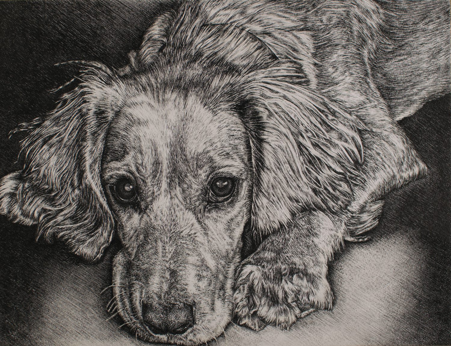 Harriet 3 30.5cm x 40cm.jpg