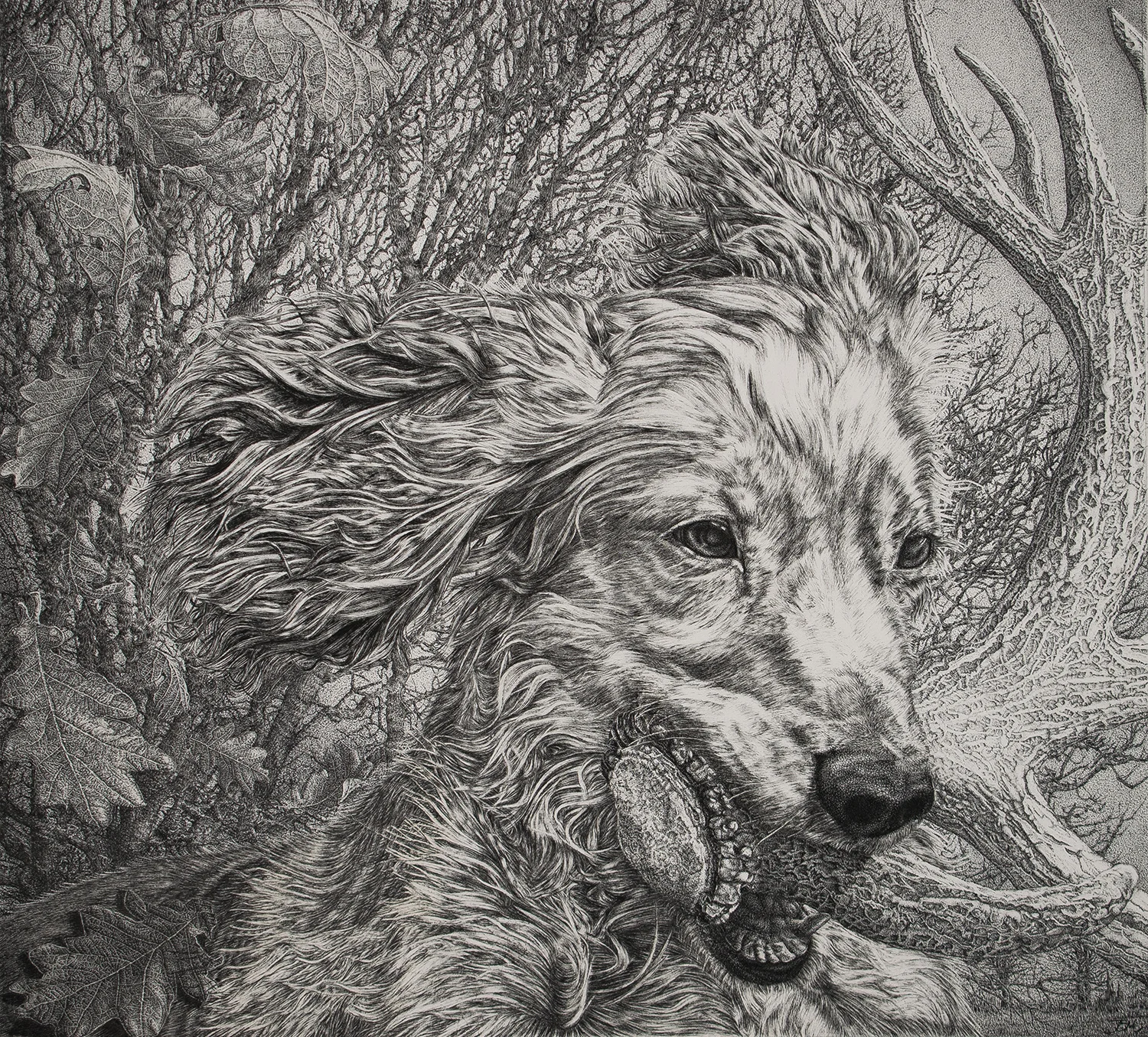 Bravado 55cm x 50cm.jpg