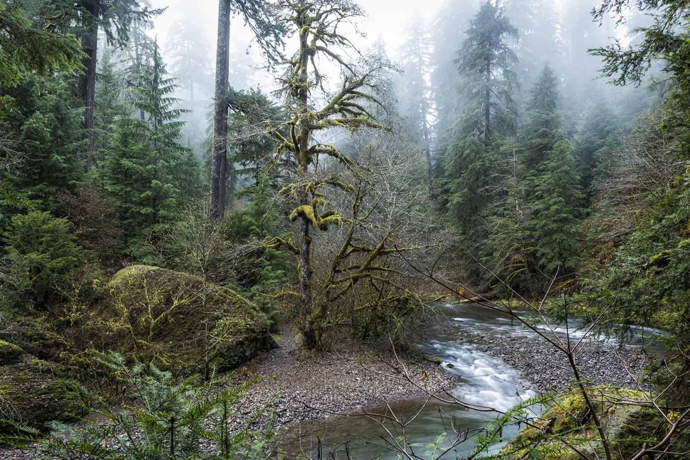 A Creek Runs Through It.jpg