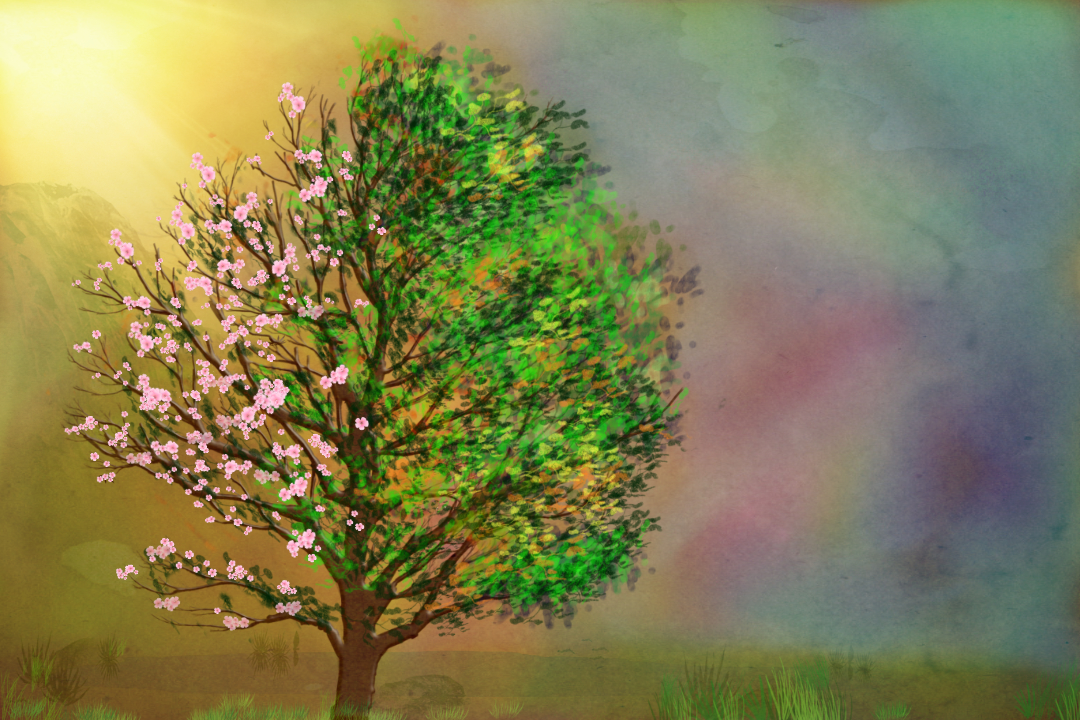 SpringtoSummer_S.jpg
